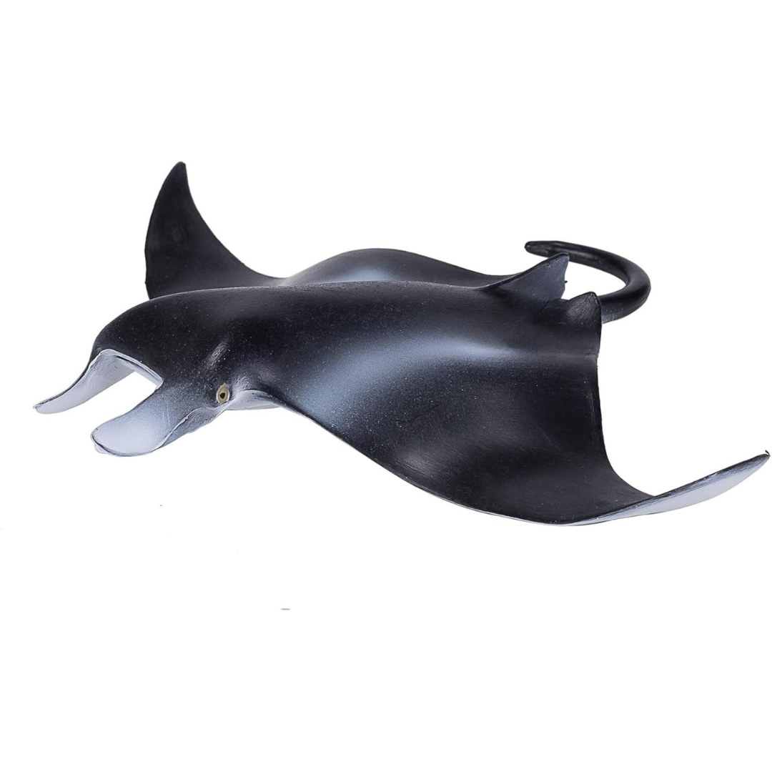 Mojo Manta Ray  (Portugal) - L