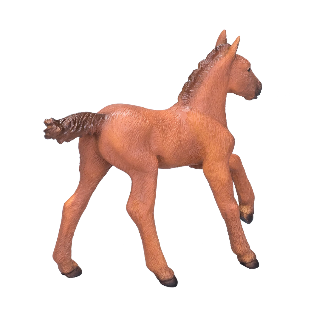 Mojo Arabian Foal Chestnut - M