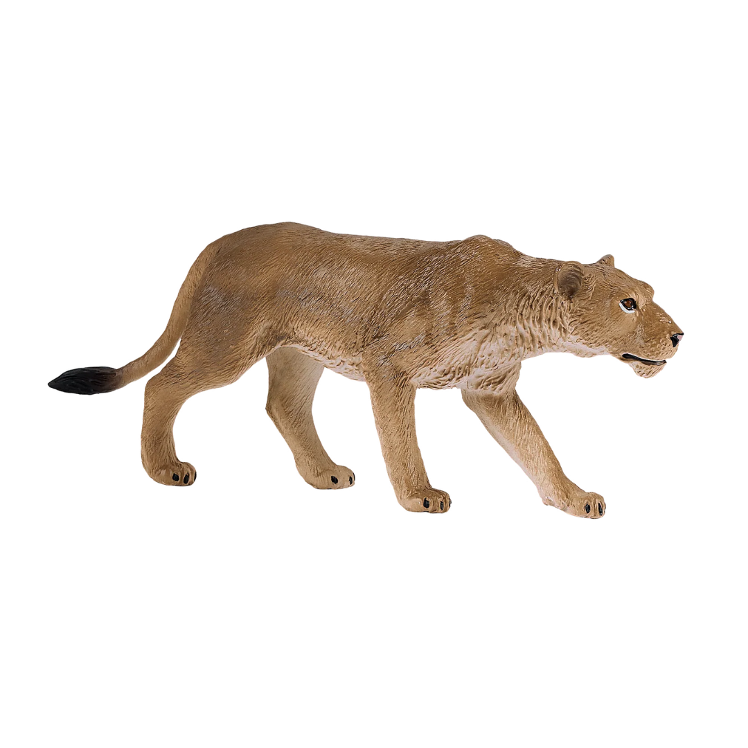 Mojo African Lioness - L
