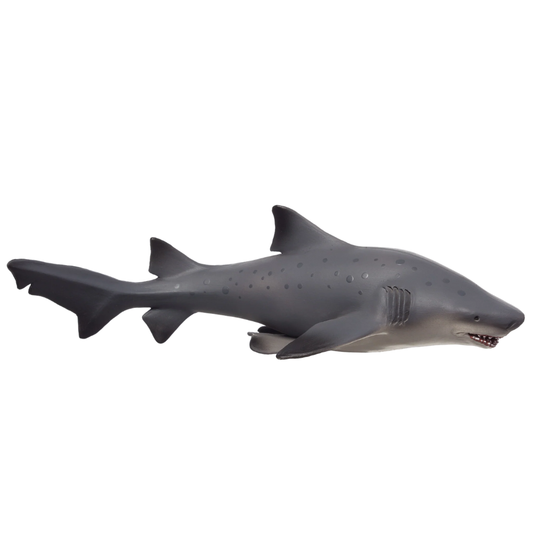 Sand Tiger Shark Large  (Portugal) -XXL
