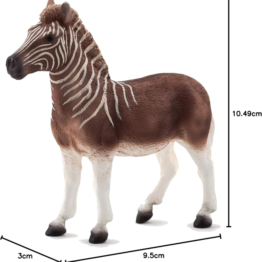 Mojo Quagga -XL