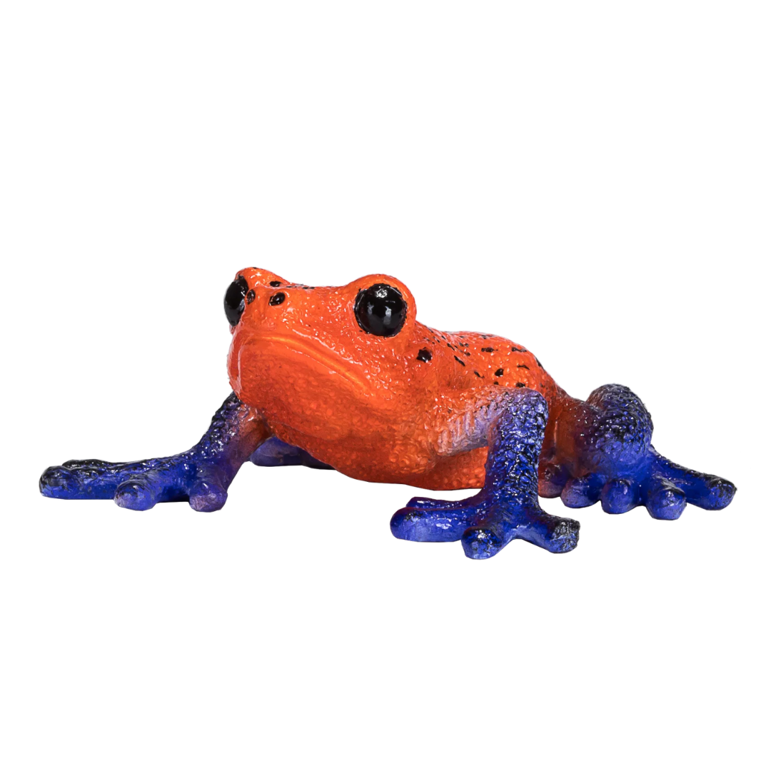 Mojo Poison Dart Tree Frog - M