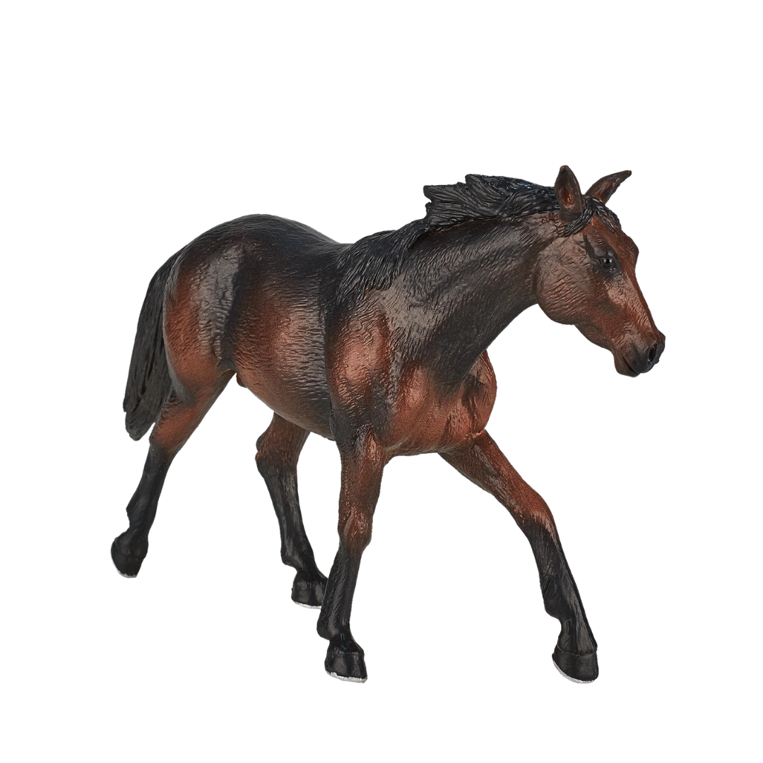 Mojo Quarter Horse Sooty Bay - XL