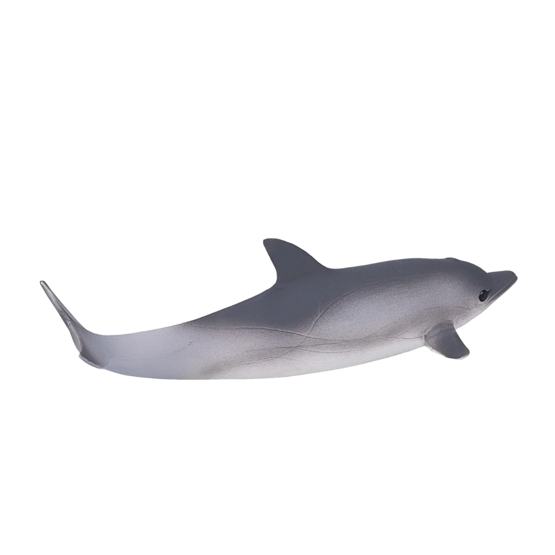 Mojo Common Dolphin  (Portugal) - L
