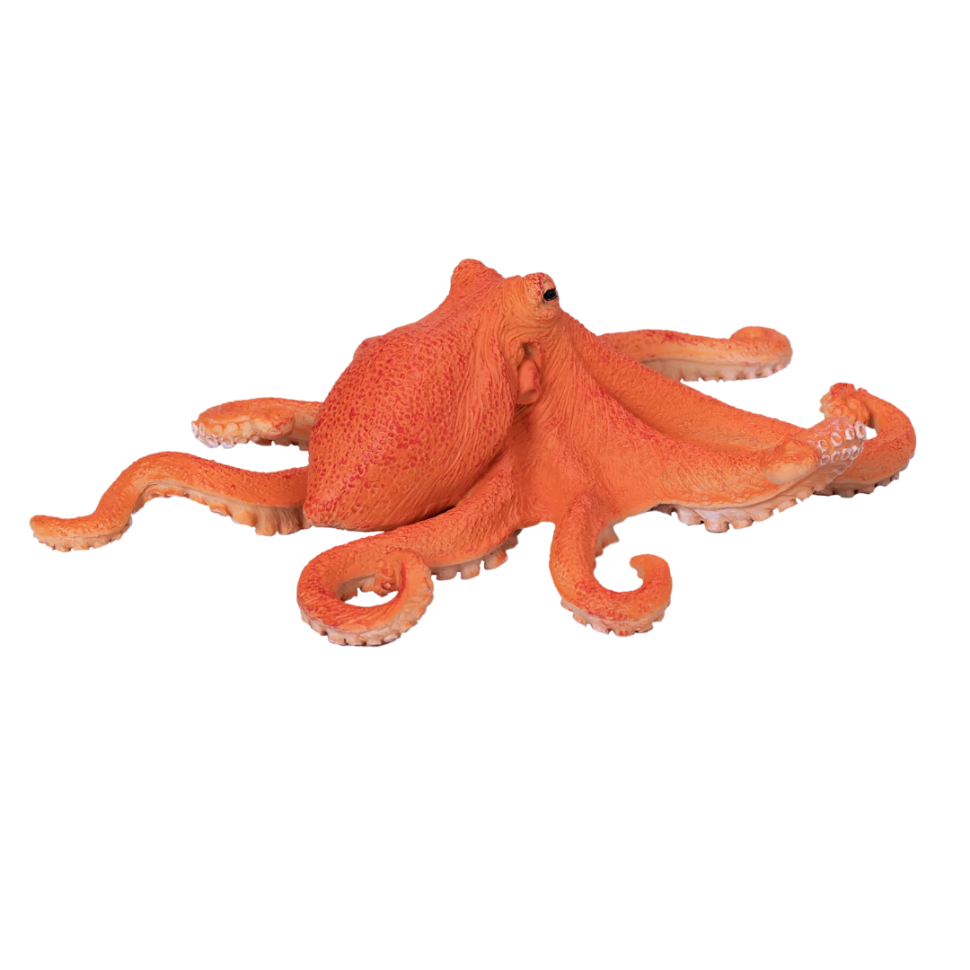 Mojo Octopus - XL