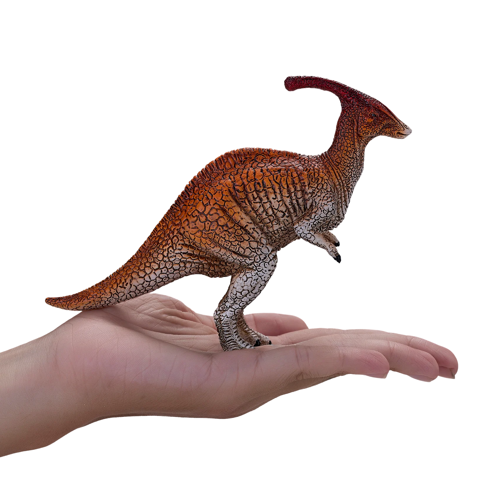Parasaurolophus  -XXL
