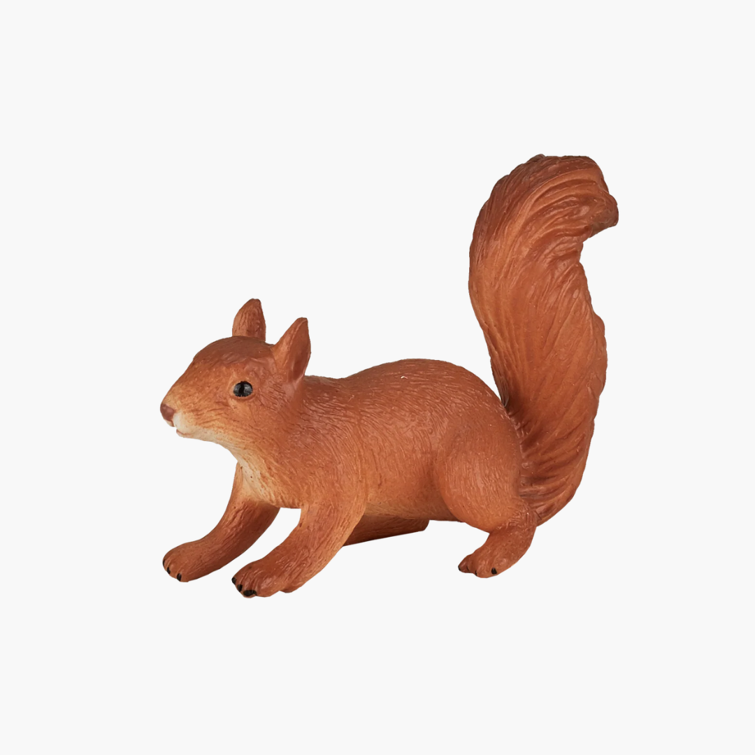 Mojo Squirrel Running-S