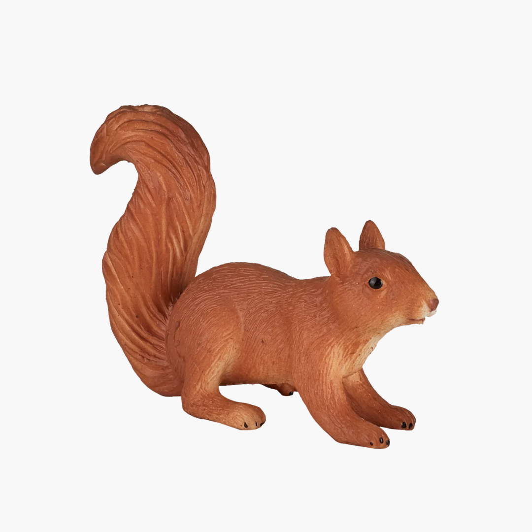 Mojo Squirrel Running-S