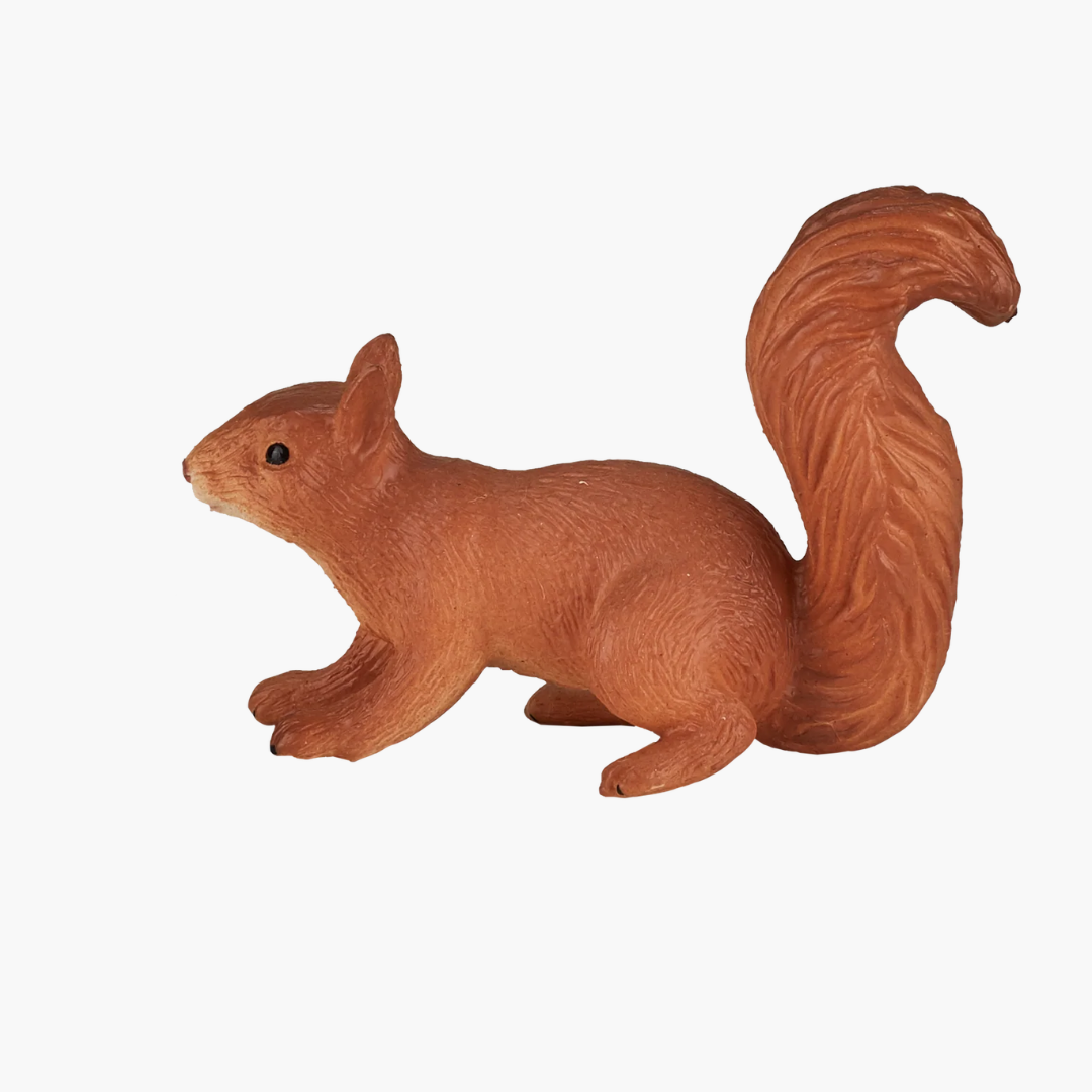 Mojo Squirrel Running-S