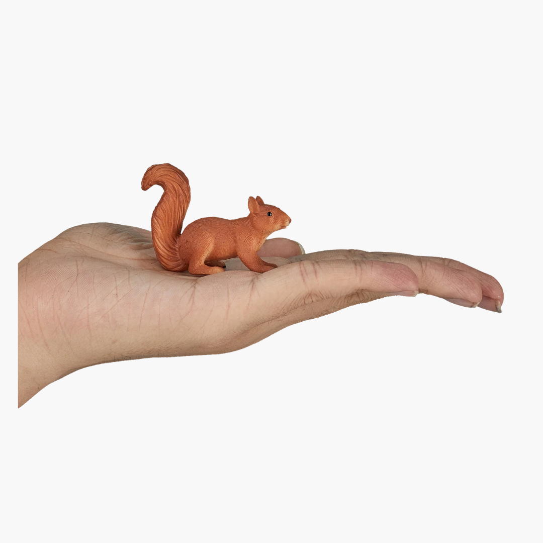 Mojo Squirrel Running-S