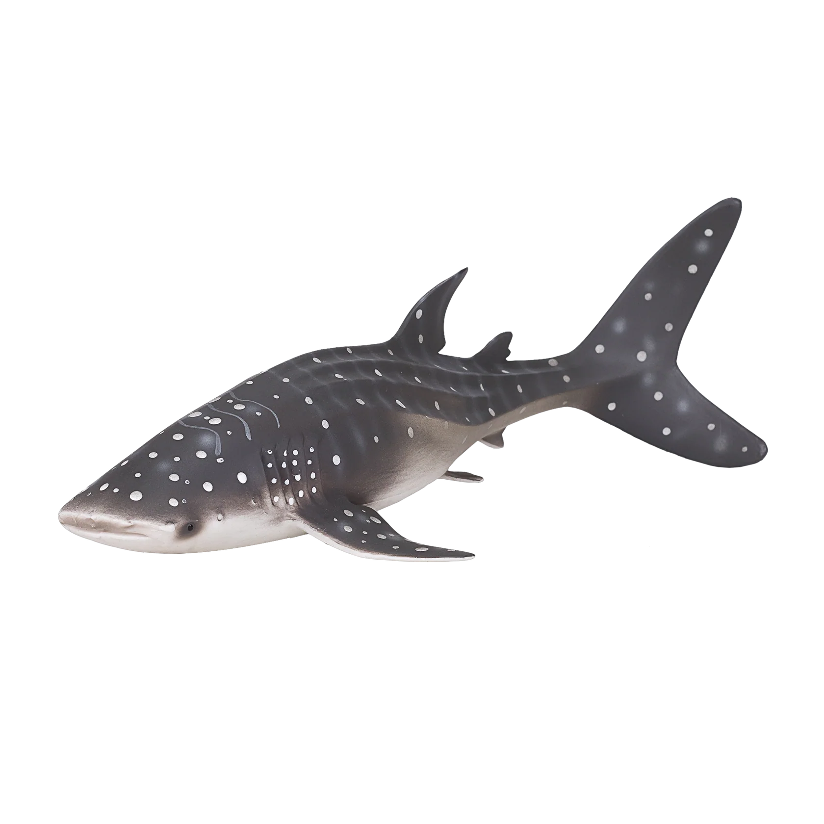 Mojo Whale Shark  (Portugal)-DI