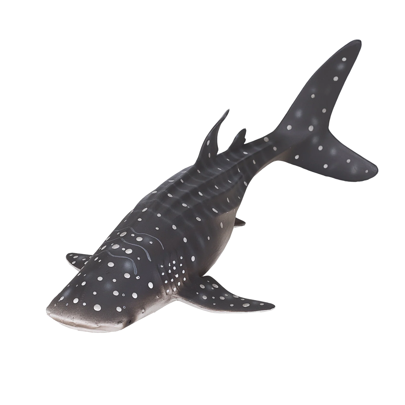 Mojo Whale Shark  (Portugal)-DI