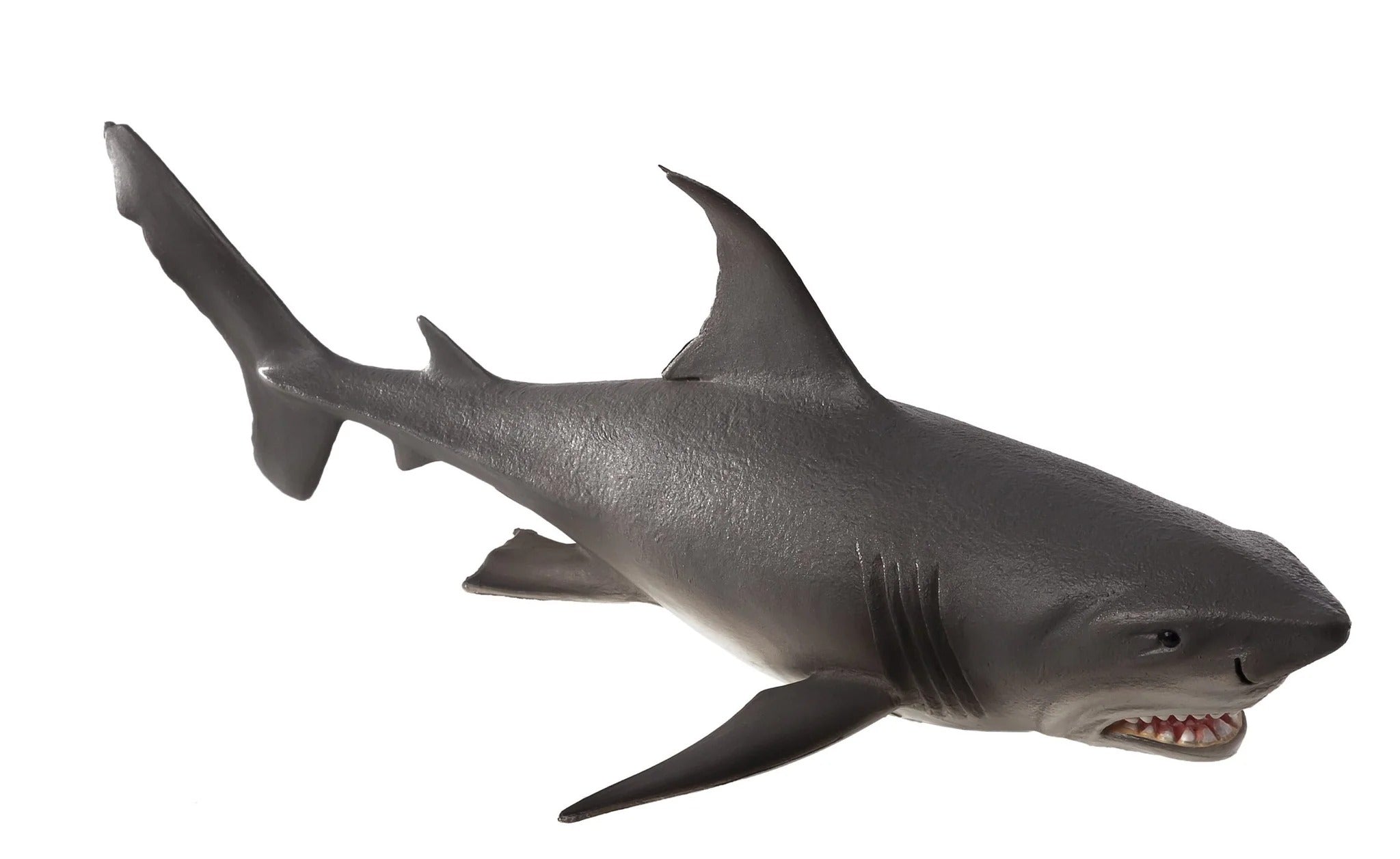 Mojo White Shark Large (Portugal) -DI