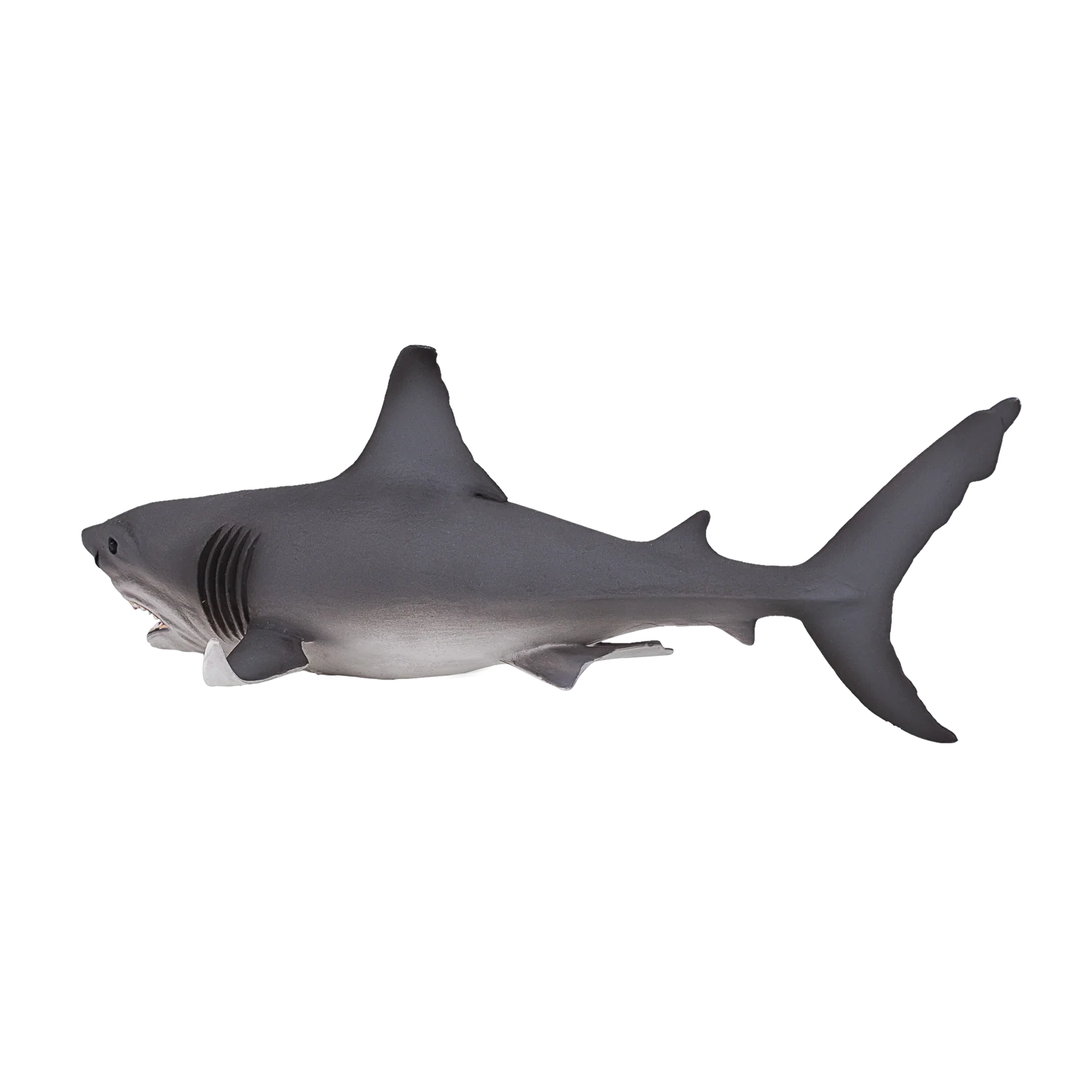 Mojo White Shark Large (Portugal) -DI