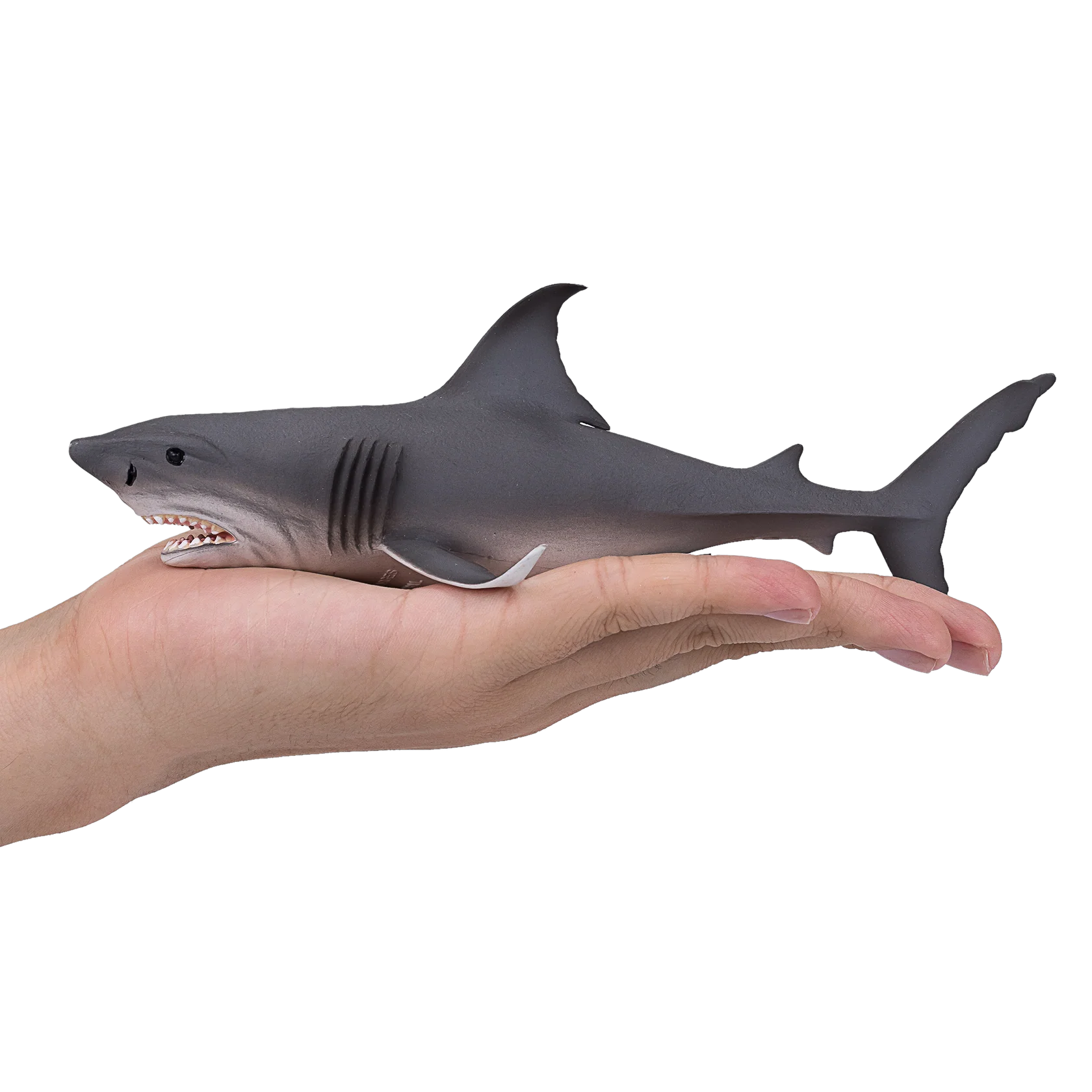 Mojo White Shark Large (Portugal) -DI