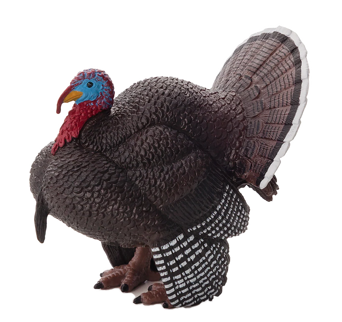 Mojo Male Turkey - L