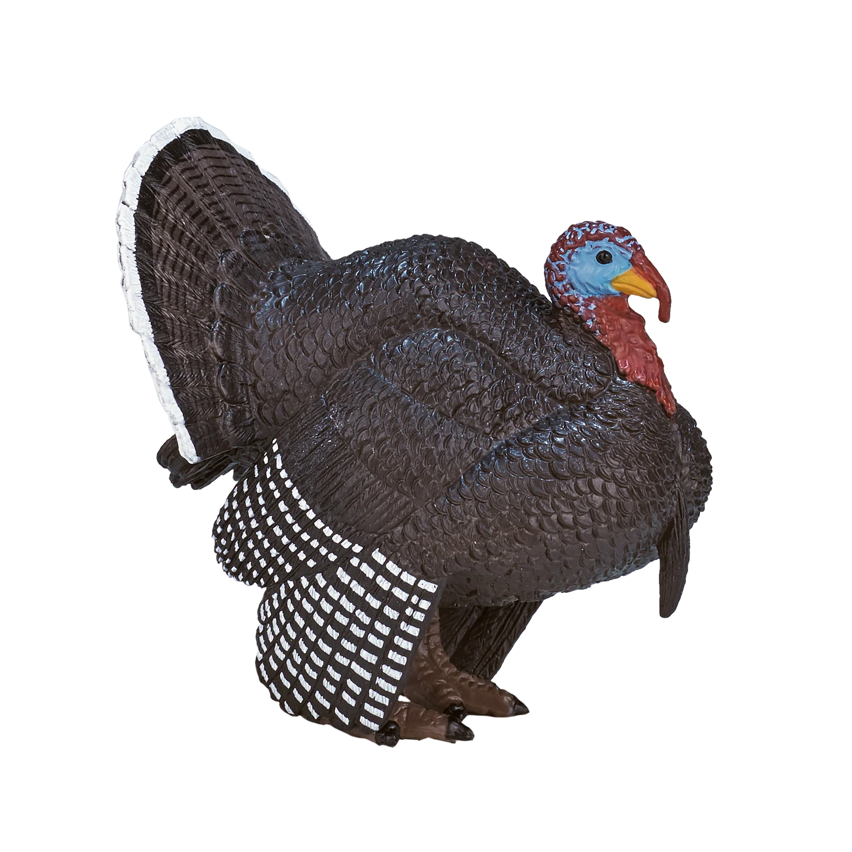 Mojo Male Turkey - L