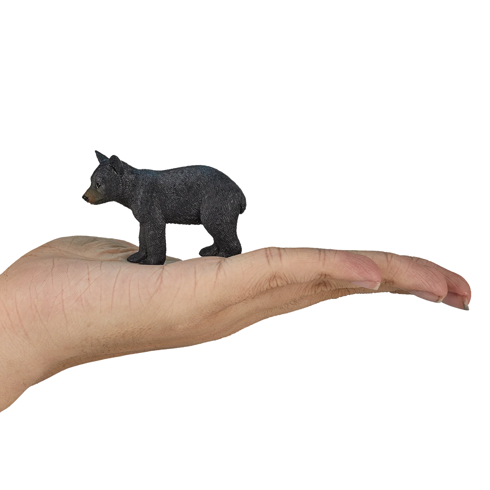 Mojo Black Bear Cub -S