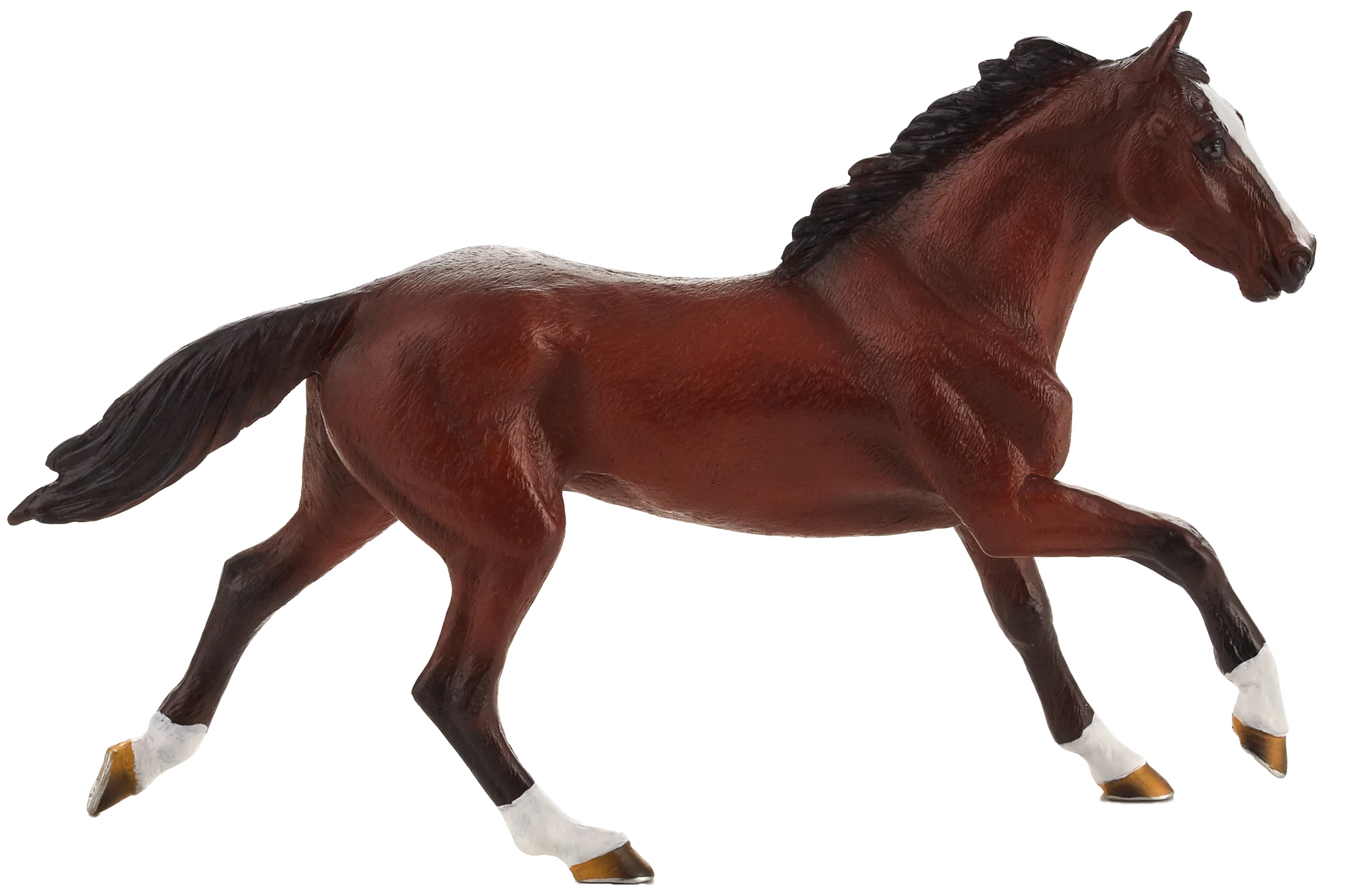 Mojo Thoroughbred  (Portugal) - XL