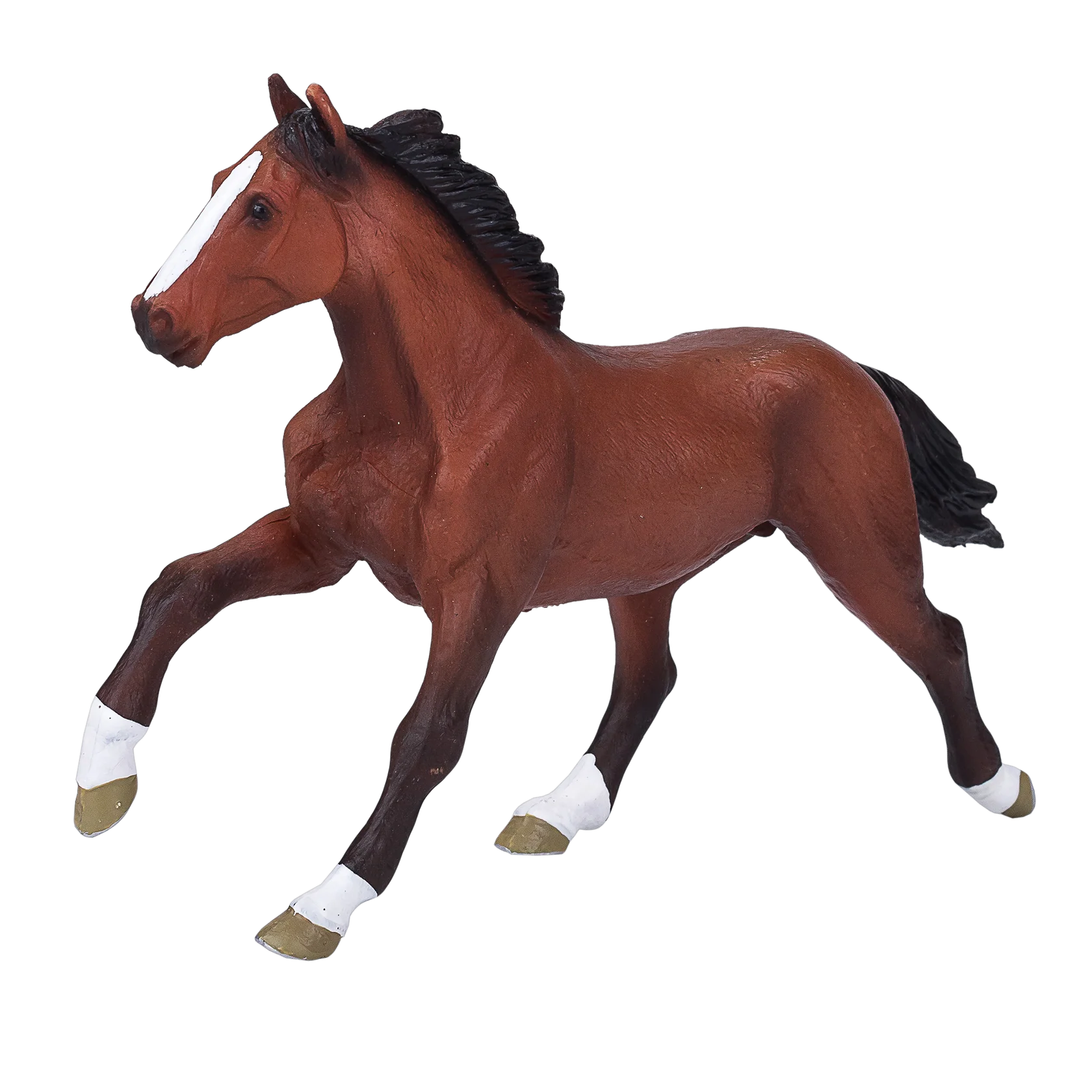 Mojo Thoroughbred  (Portugal) - XL