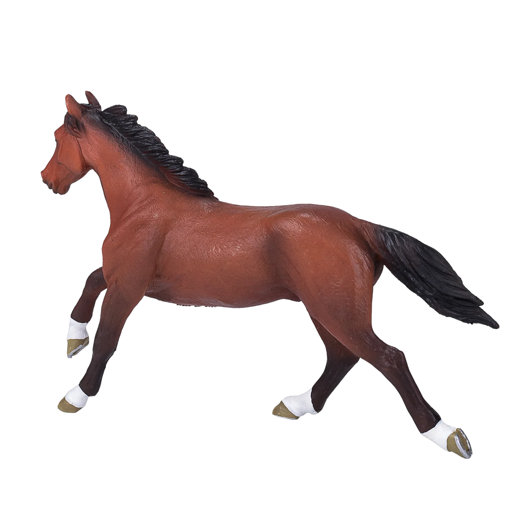 Mojo Thoroughbred  (Portugal) - XL