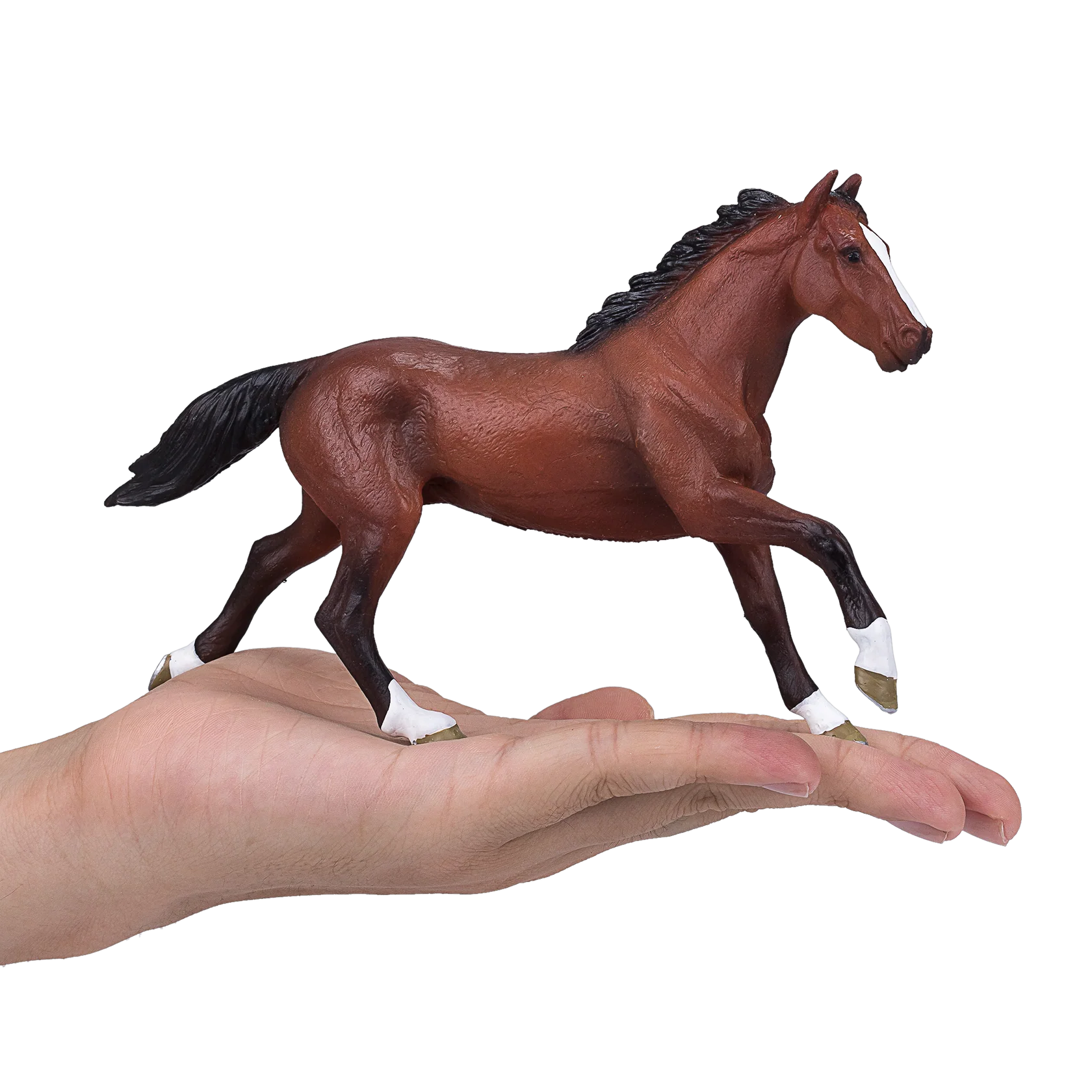 Mojo Thoroughbred  (Portugal) - XL