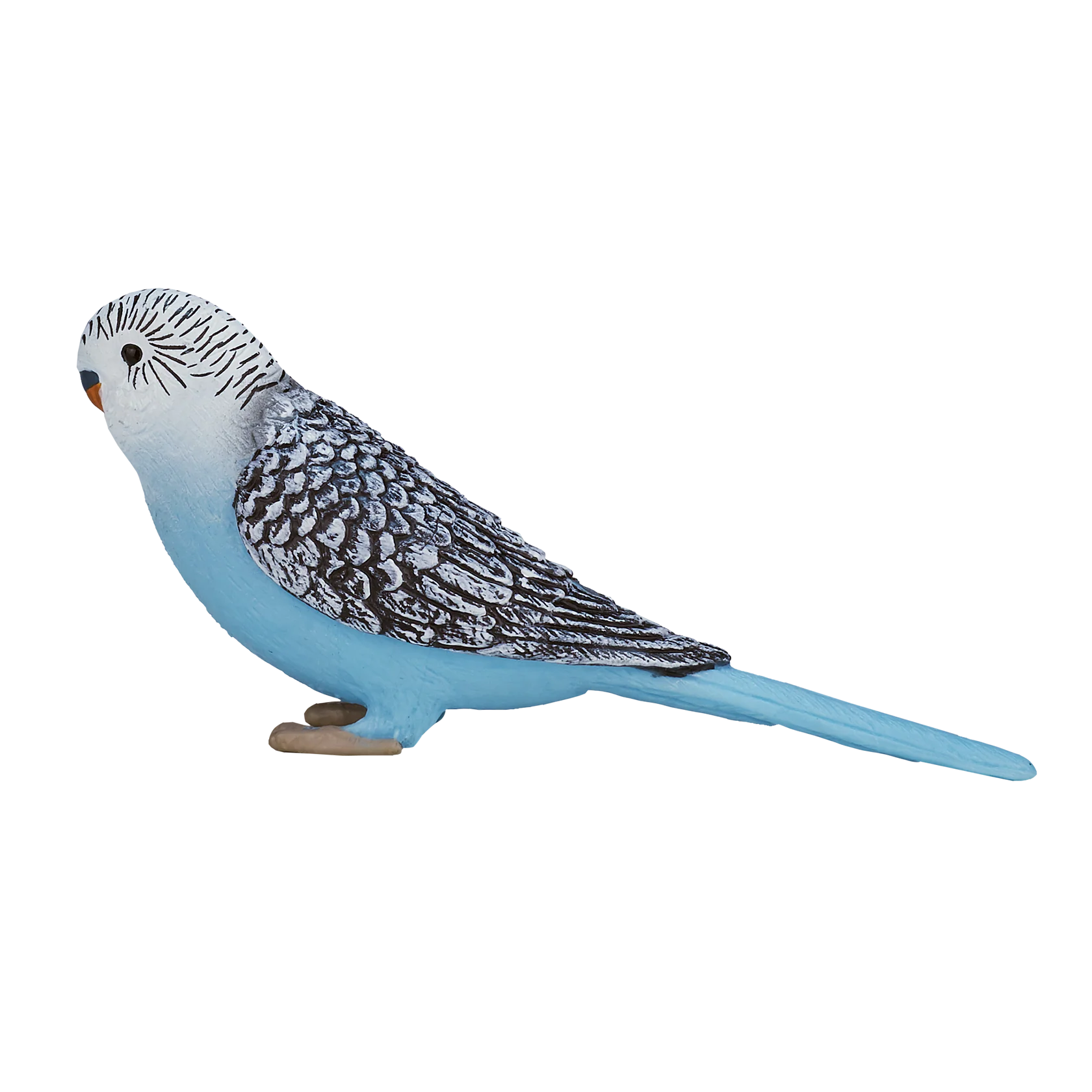 Mojo Budgerigar Blue -S