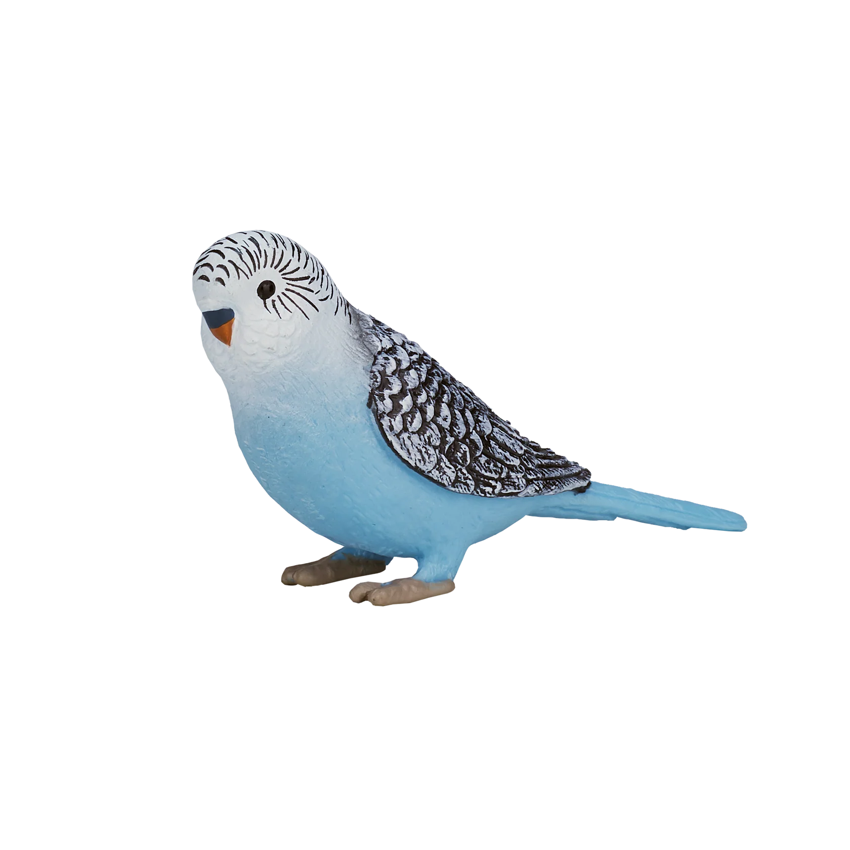 Mojo Budgerigar Blue -S