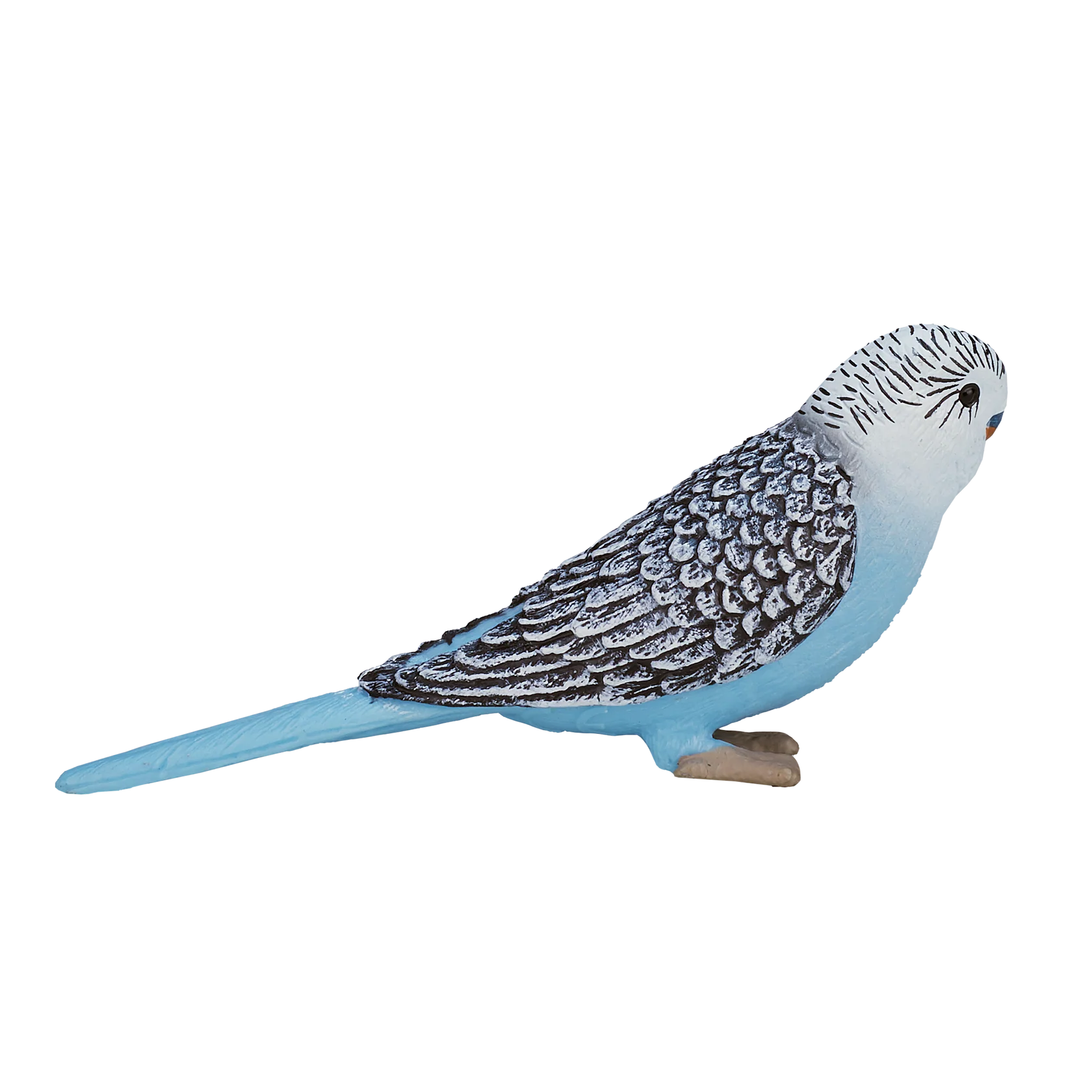 Mojo Budgerigar Blue -S