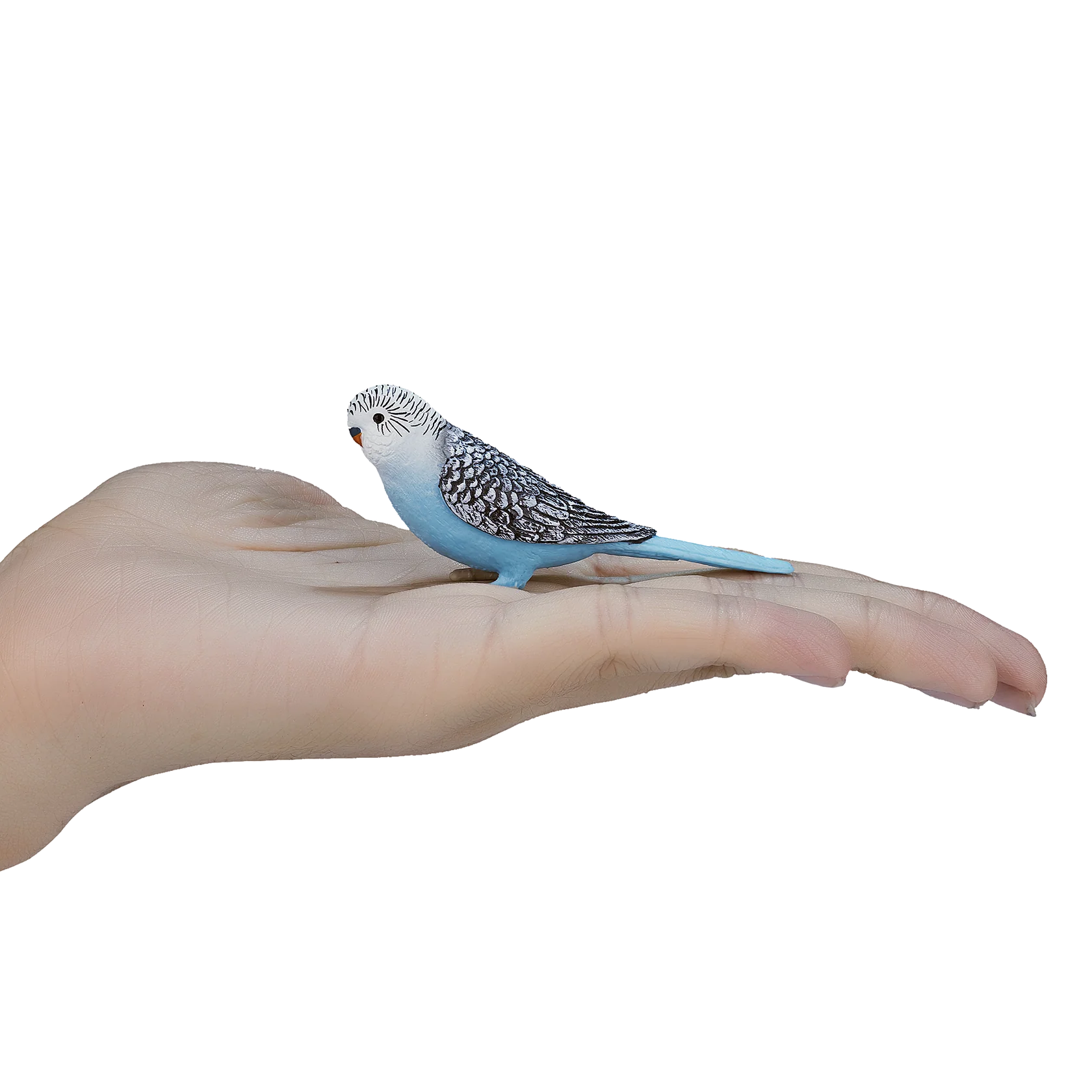 Mojo Budgerigar Blue -S