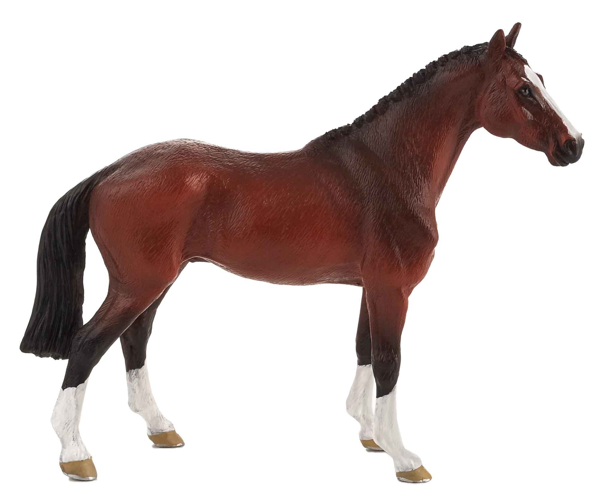 Mojo Dutch Warmblood  (Portugal)