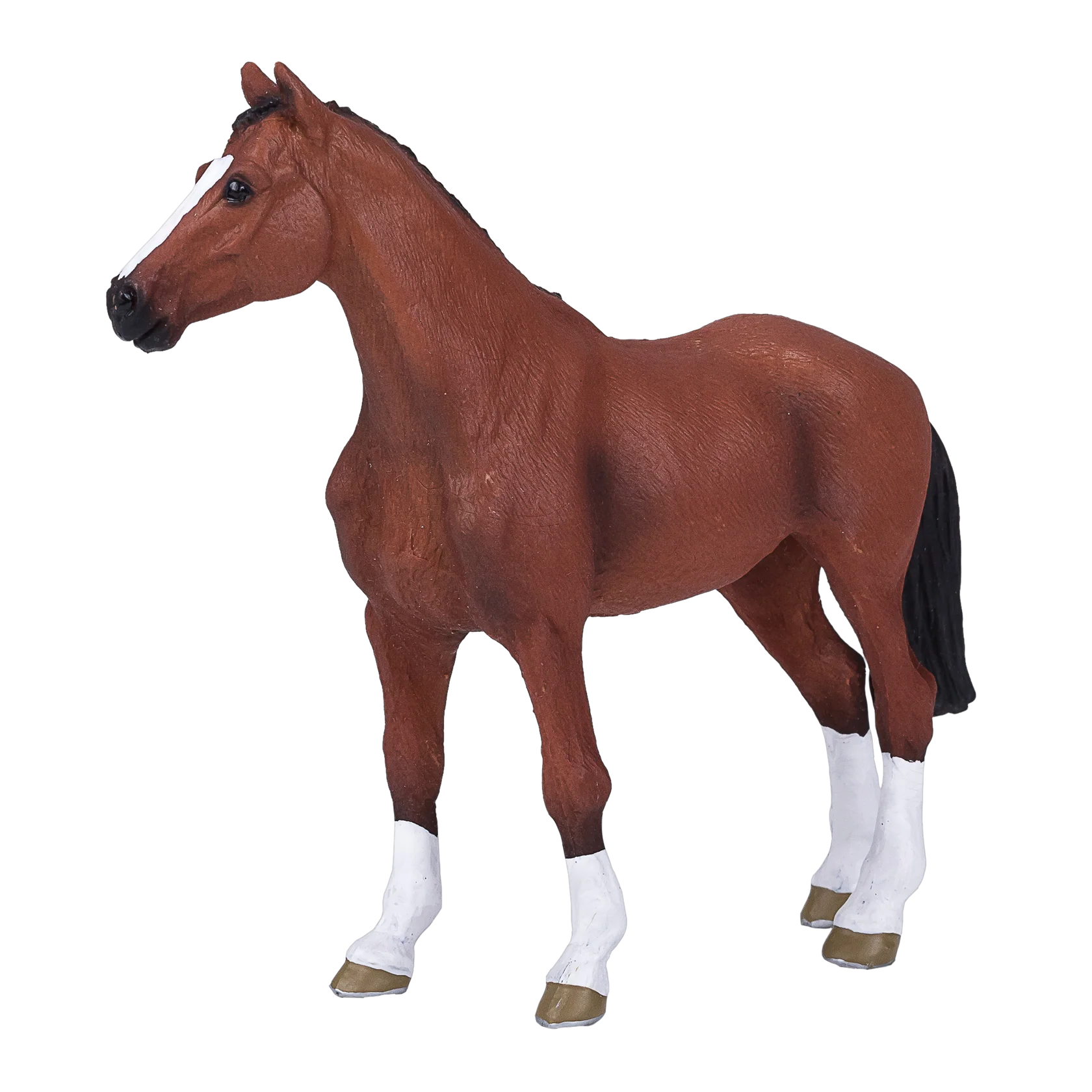 Mojo Dutch Warmblood  (Portugal)