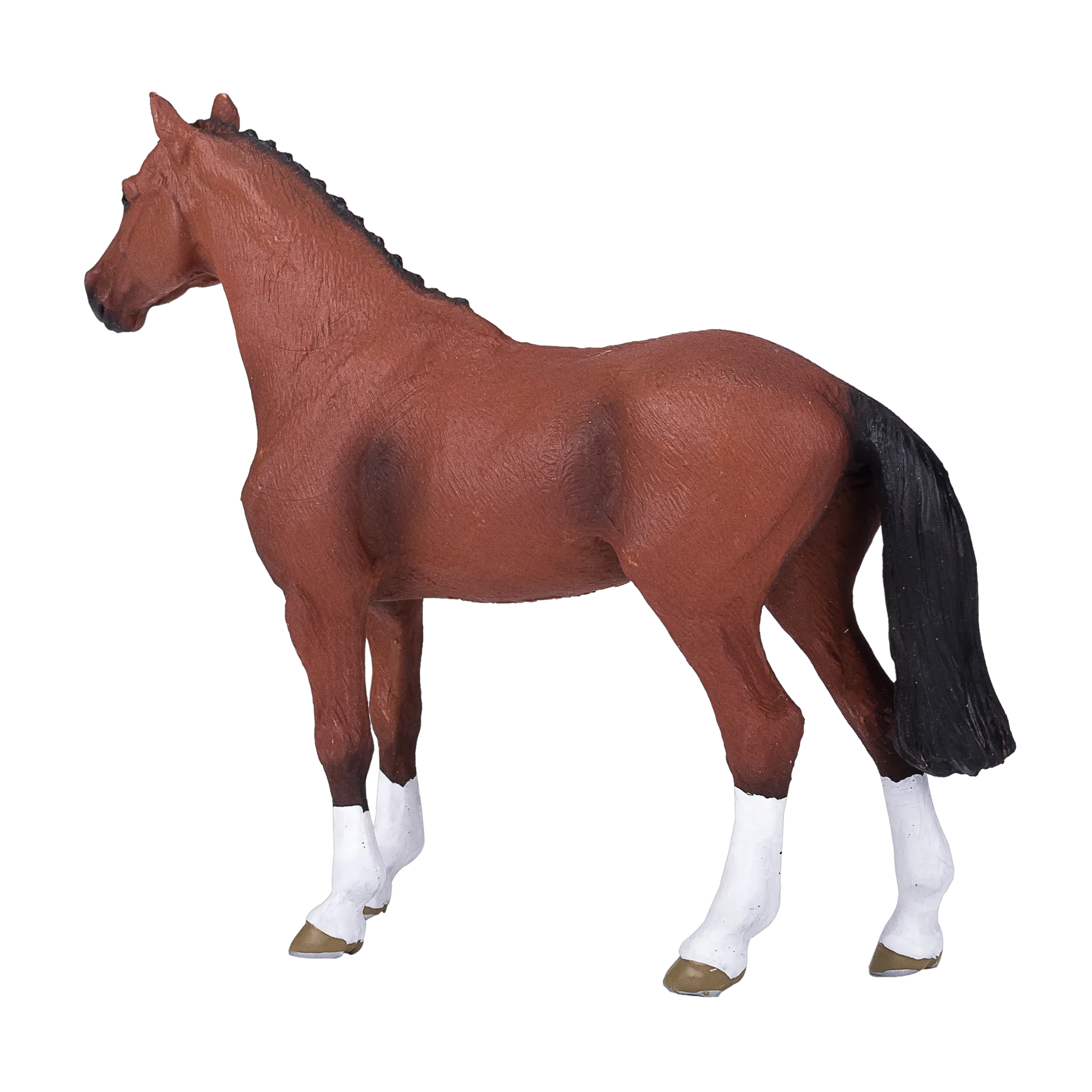Mojo Dutch Warmblood  (Portugal)