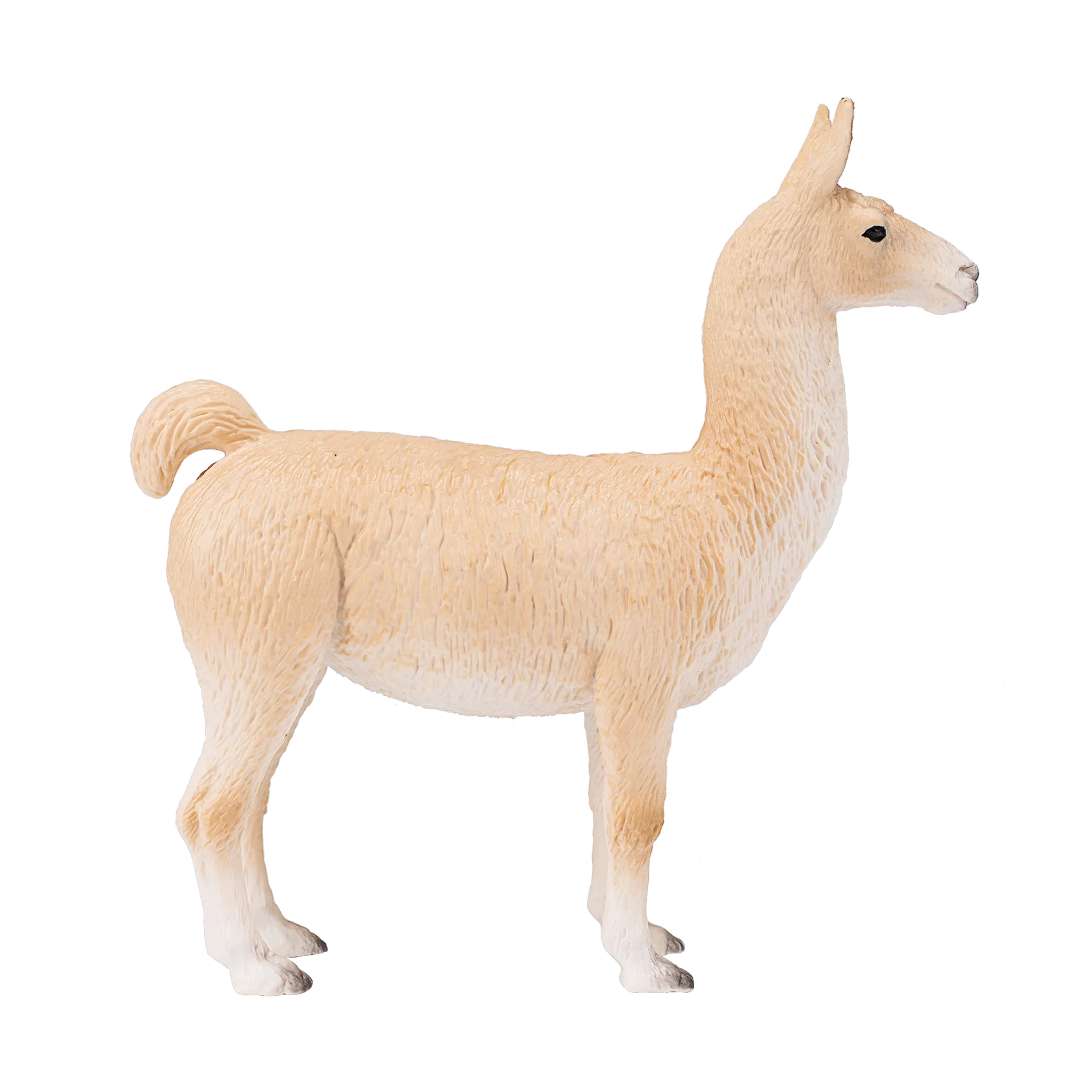 Mojo Llama  - L