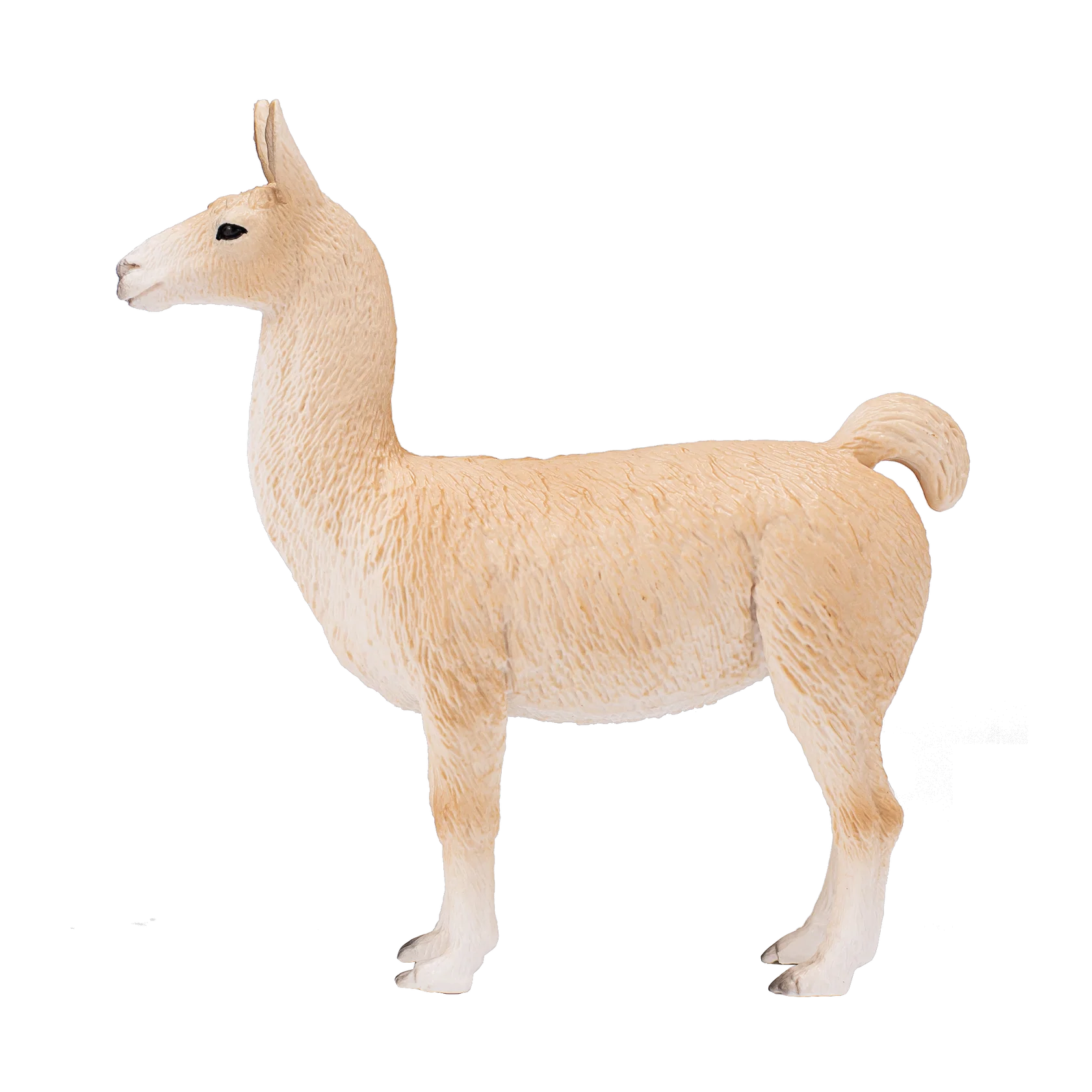 Mojo Llama  - L