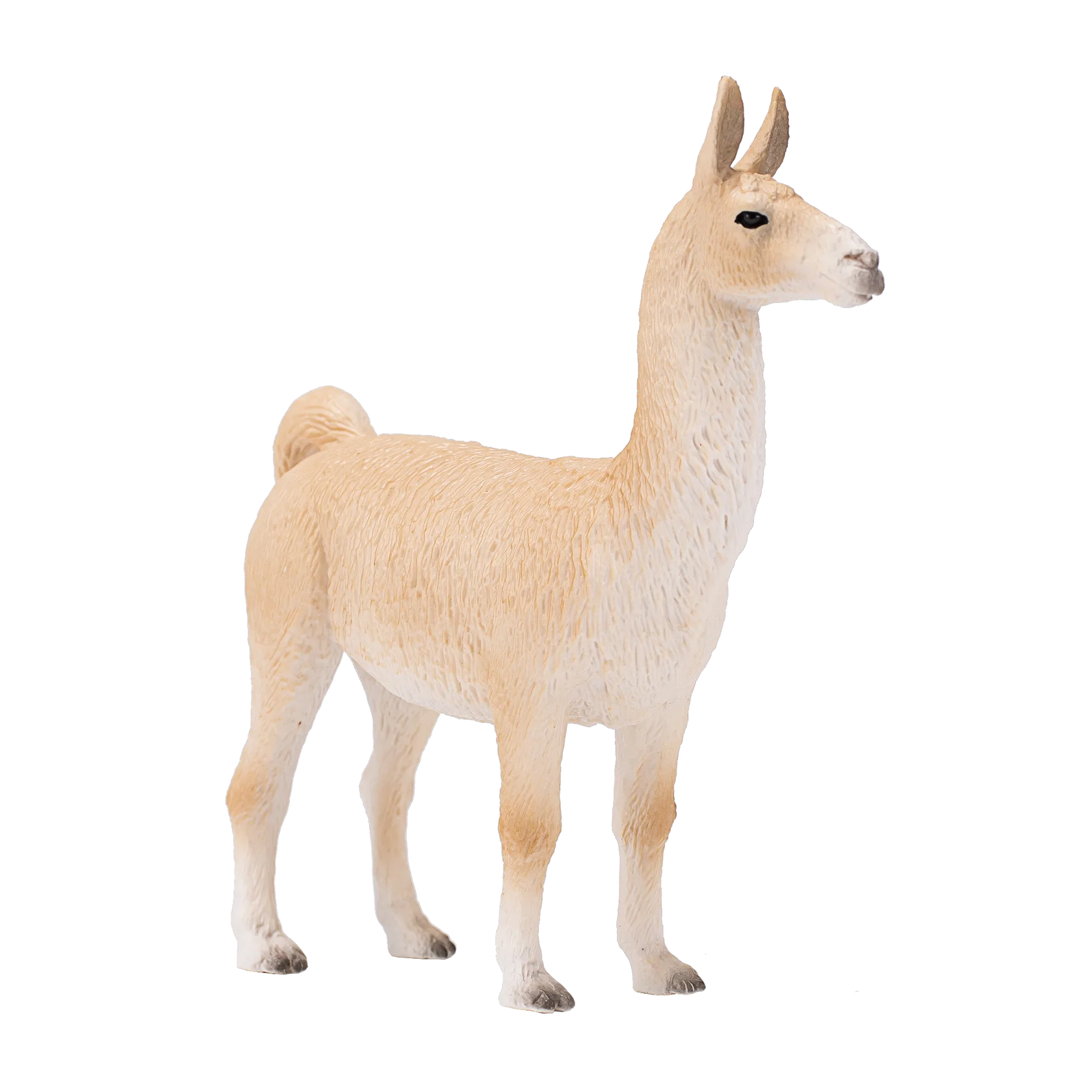 Mojo Llama  - L