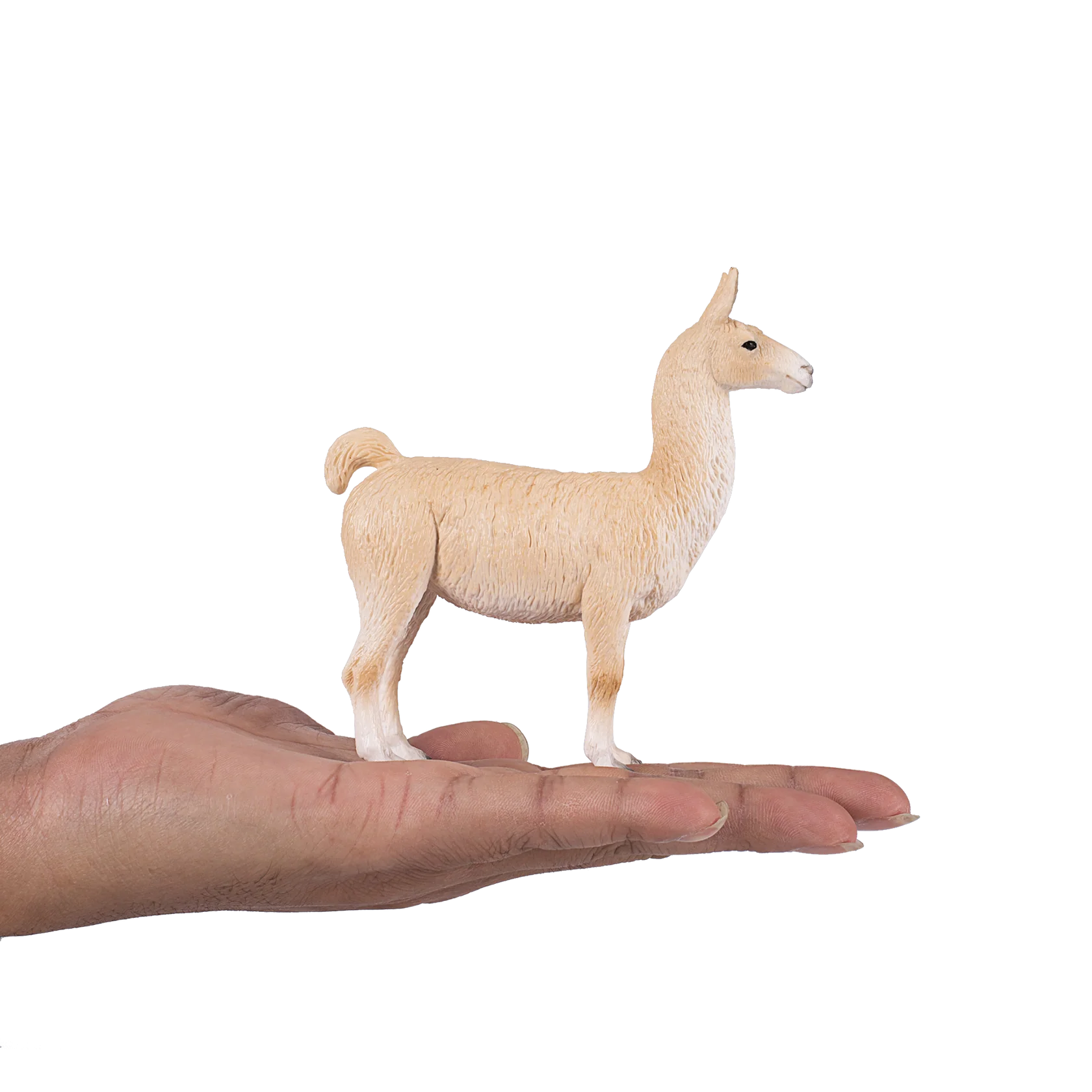 Mojo Llama  - L