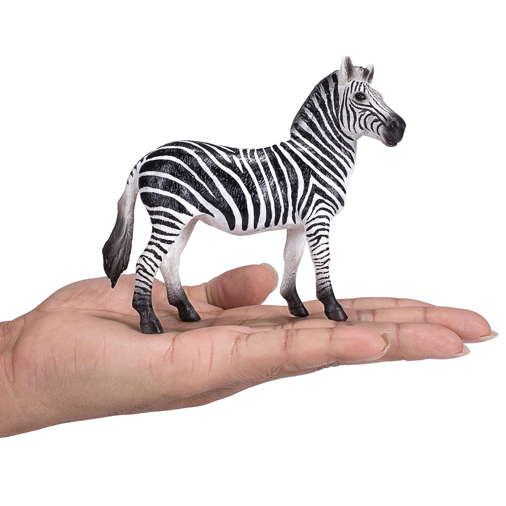 Mojo Zebra Mare - XL