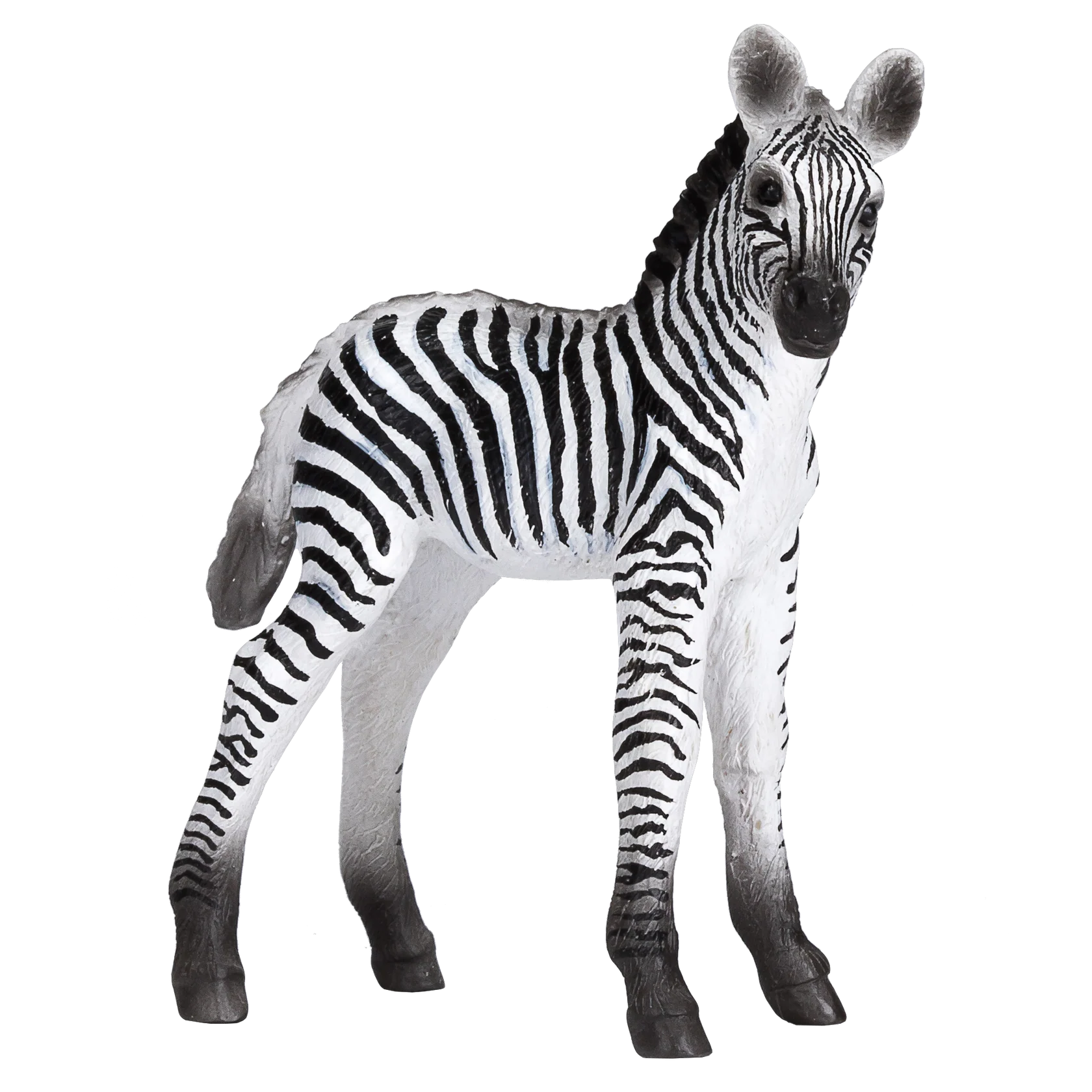 Mojo Zebra Foal - M