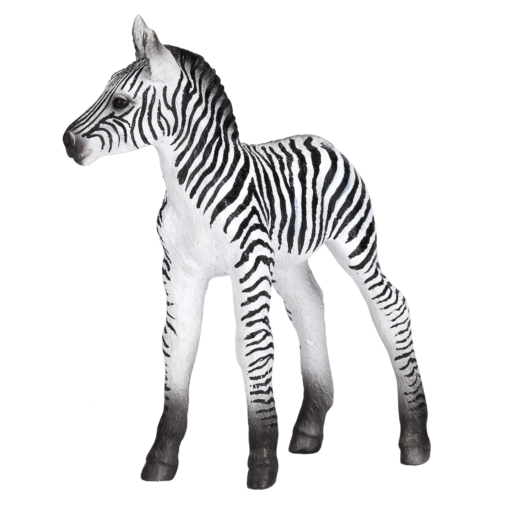 Mojo Zebra Foal - M