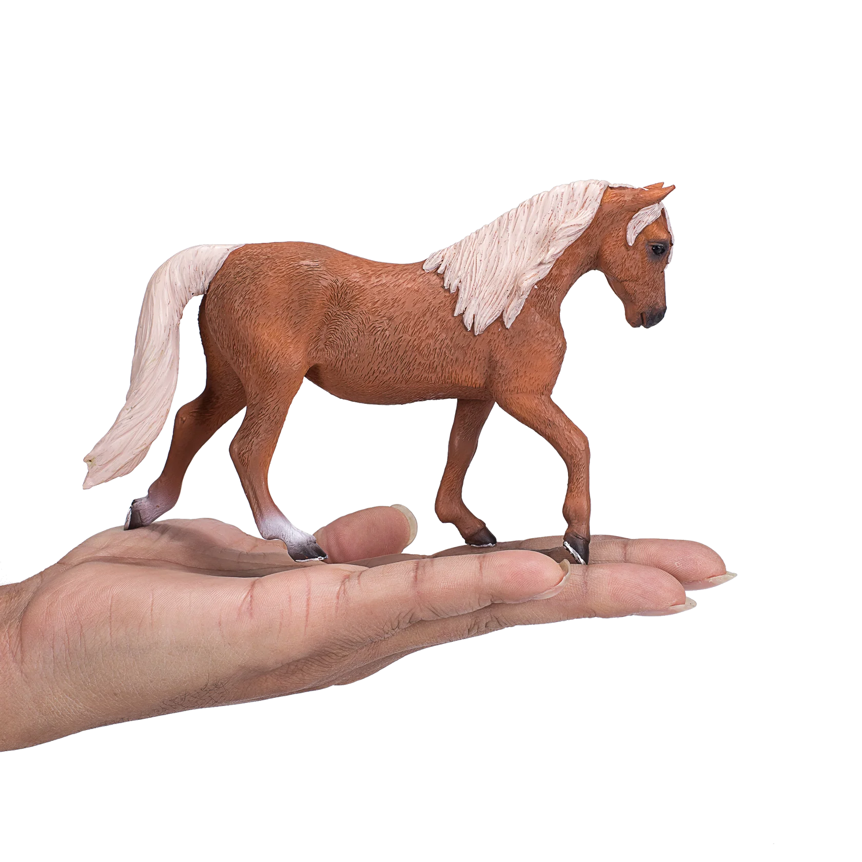 Mojo Morgan Stallion Palomino - XL