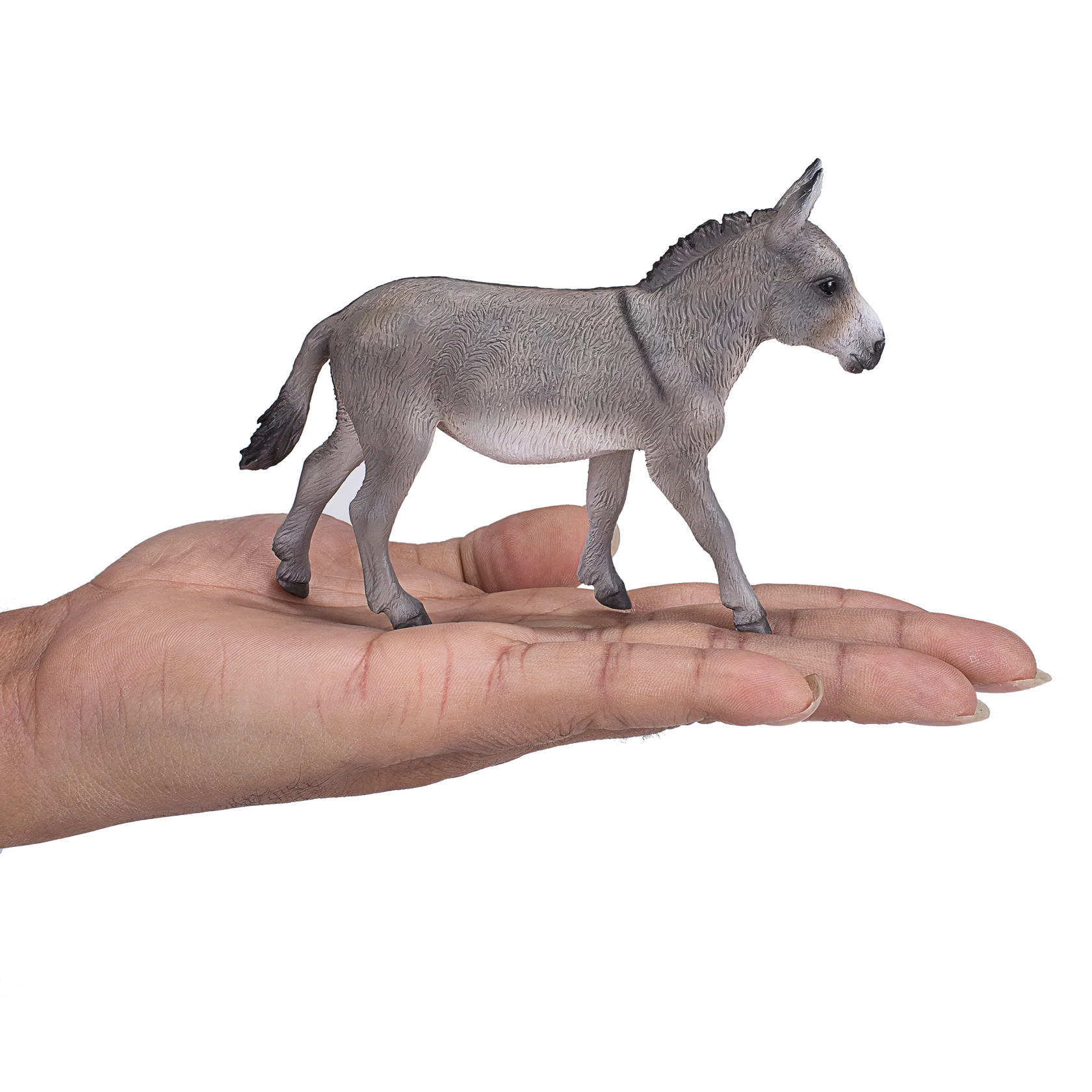 Mojo Donkey - L
