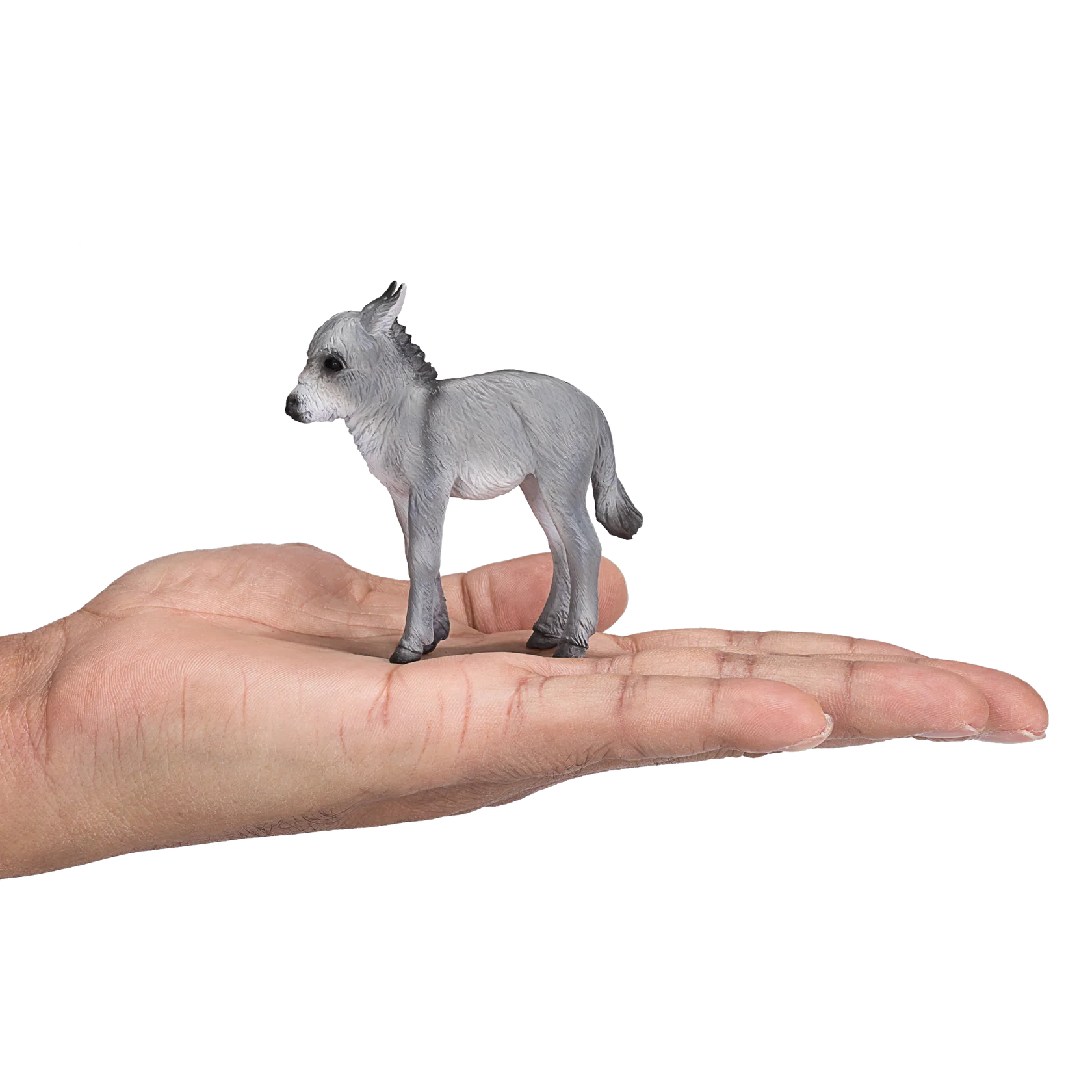 Mojo Donkey Foal -S