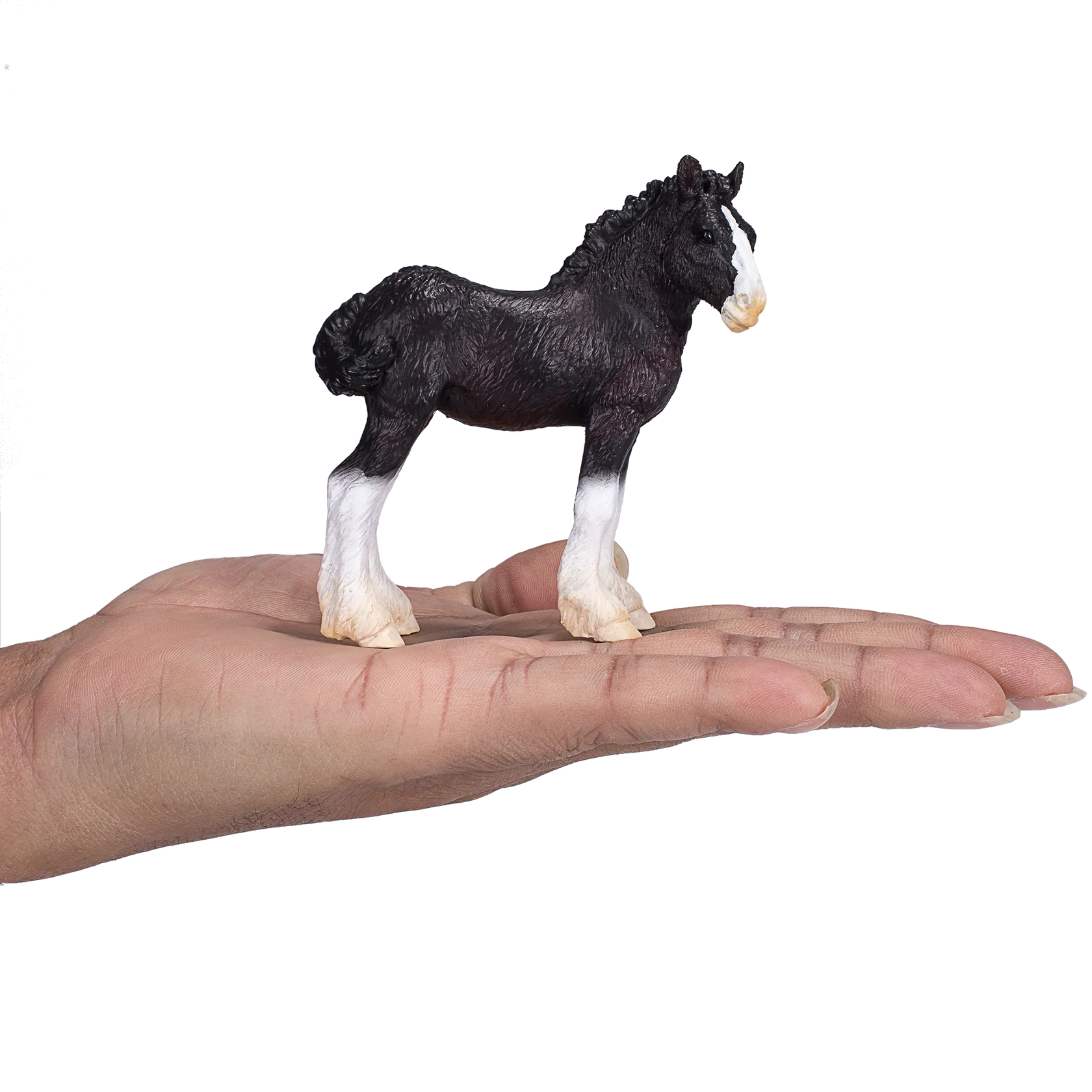 Mojo Shire Foal - M