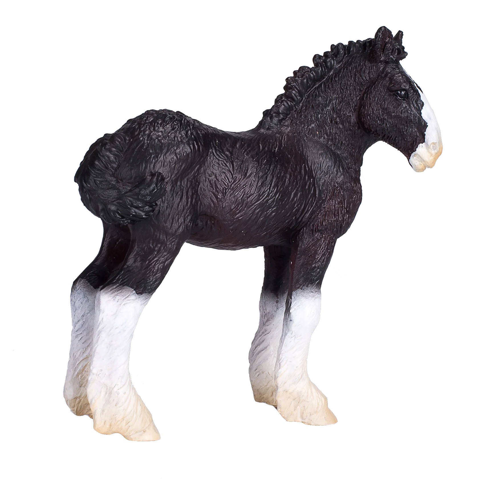 Mojo Shire Foal - M
