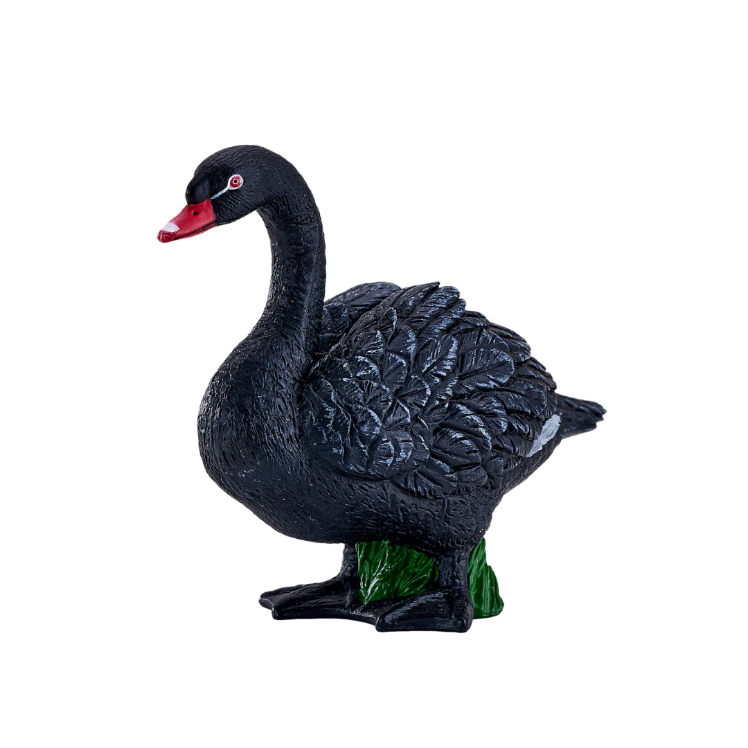 Mojo Black Swan
