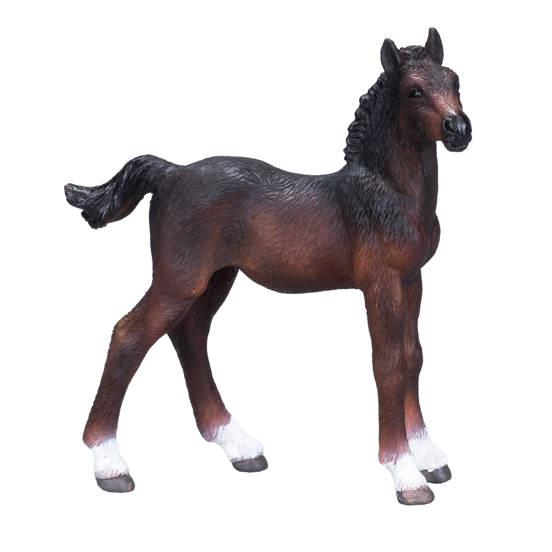 Mojo Hanoverian Foal Bay  - M