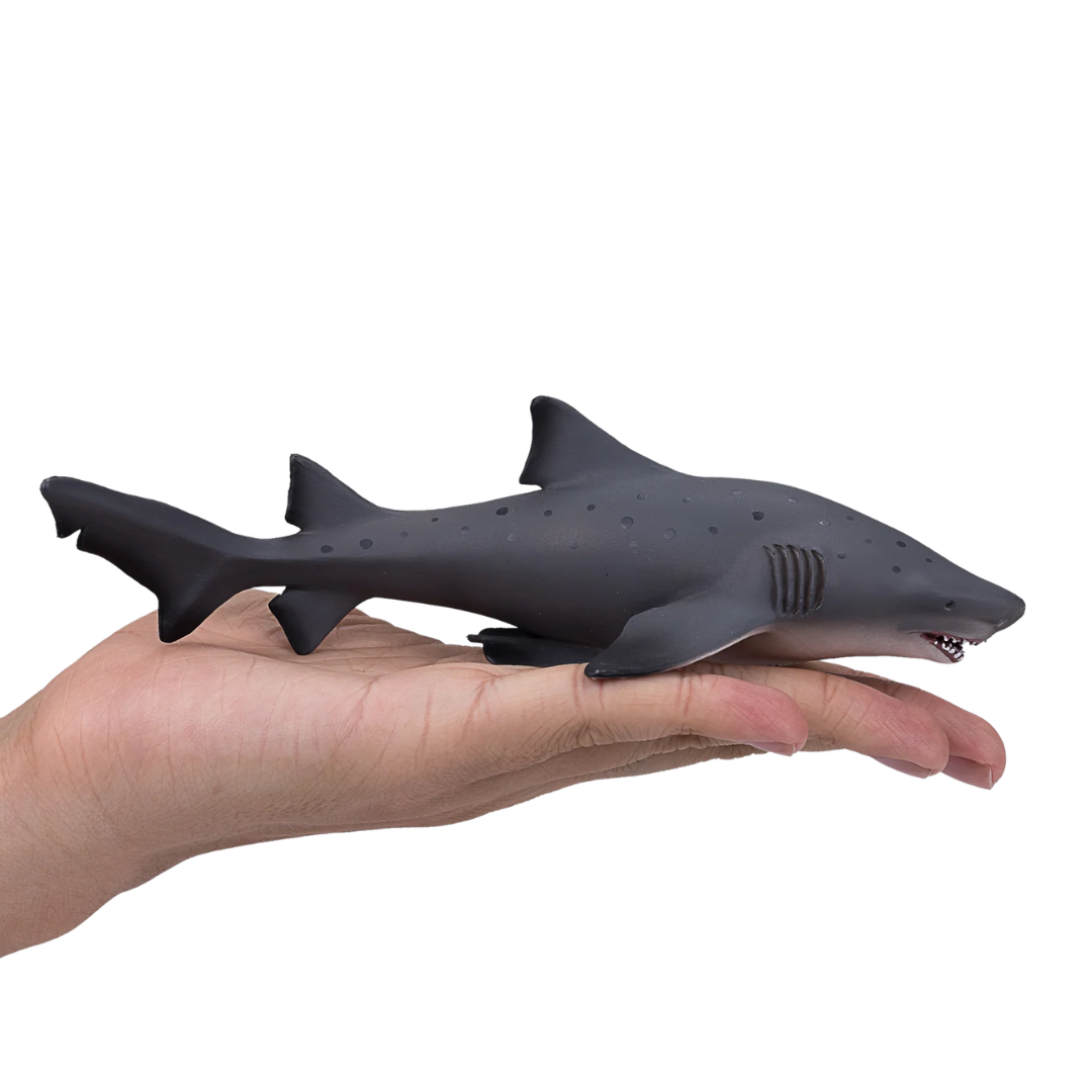 Sand Tiger Shark Large  (Portugal) -XXL