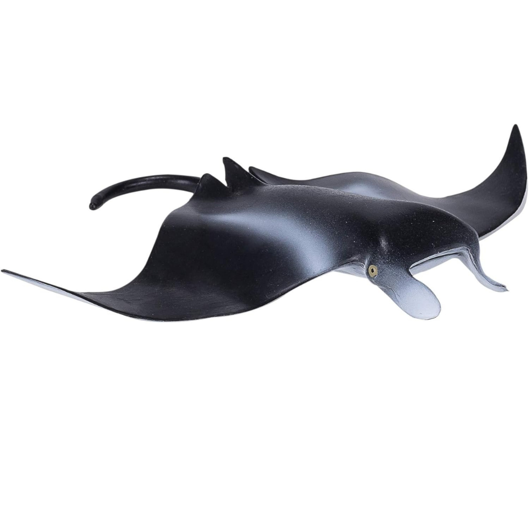 Mojo Manta Ray  (Portugal) - L