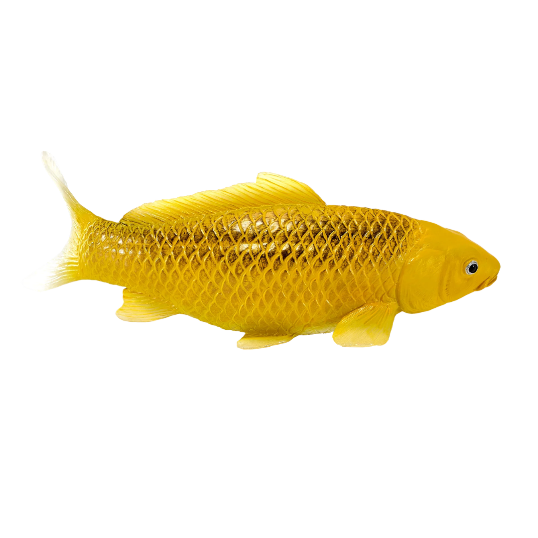 Mojo Koi Carp - Kin Matsuba Koi (Golden)